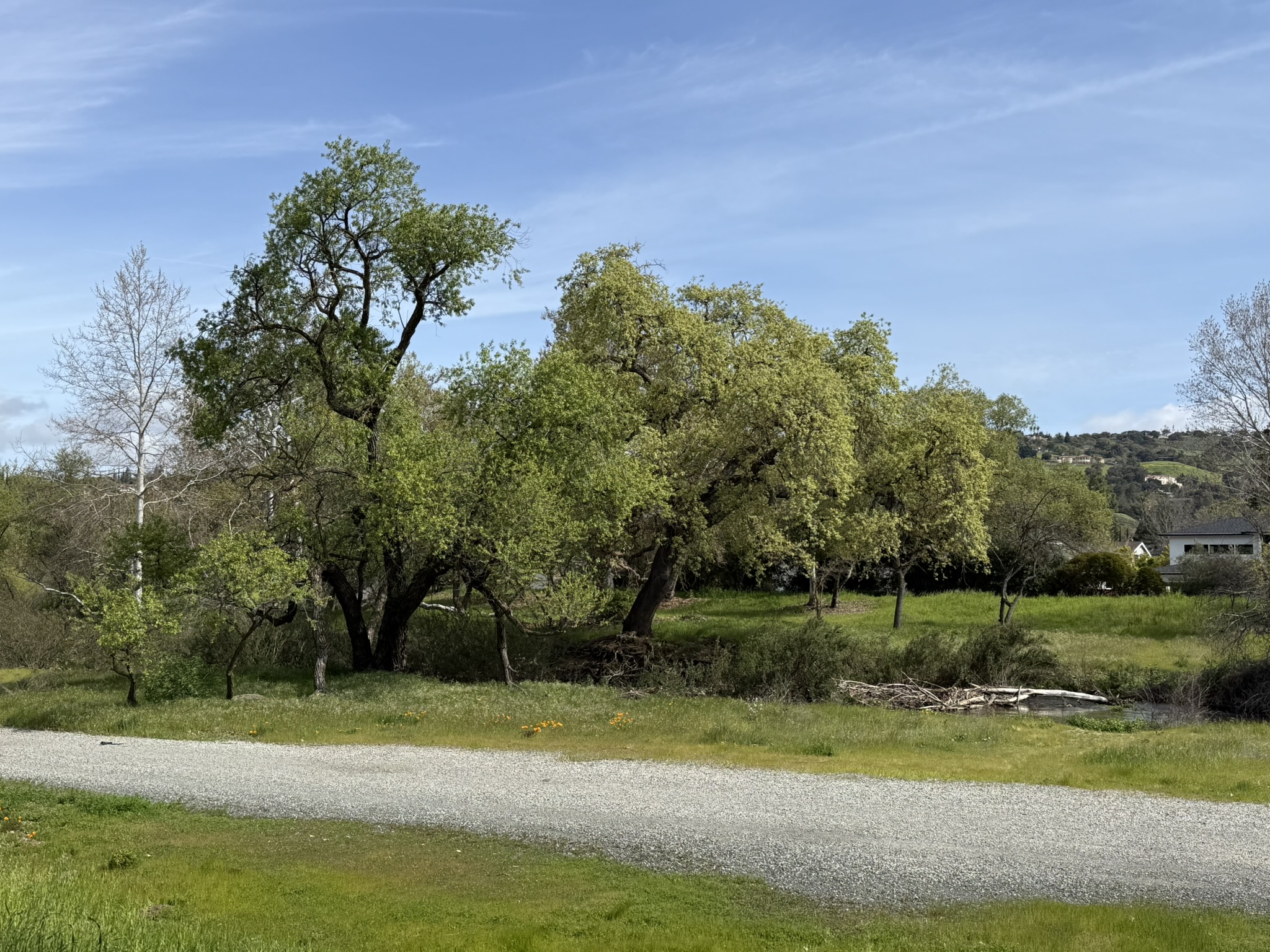 Los Alamitos Creek Trail South