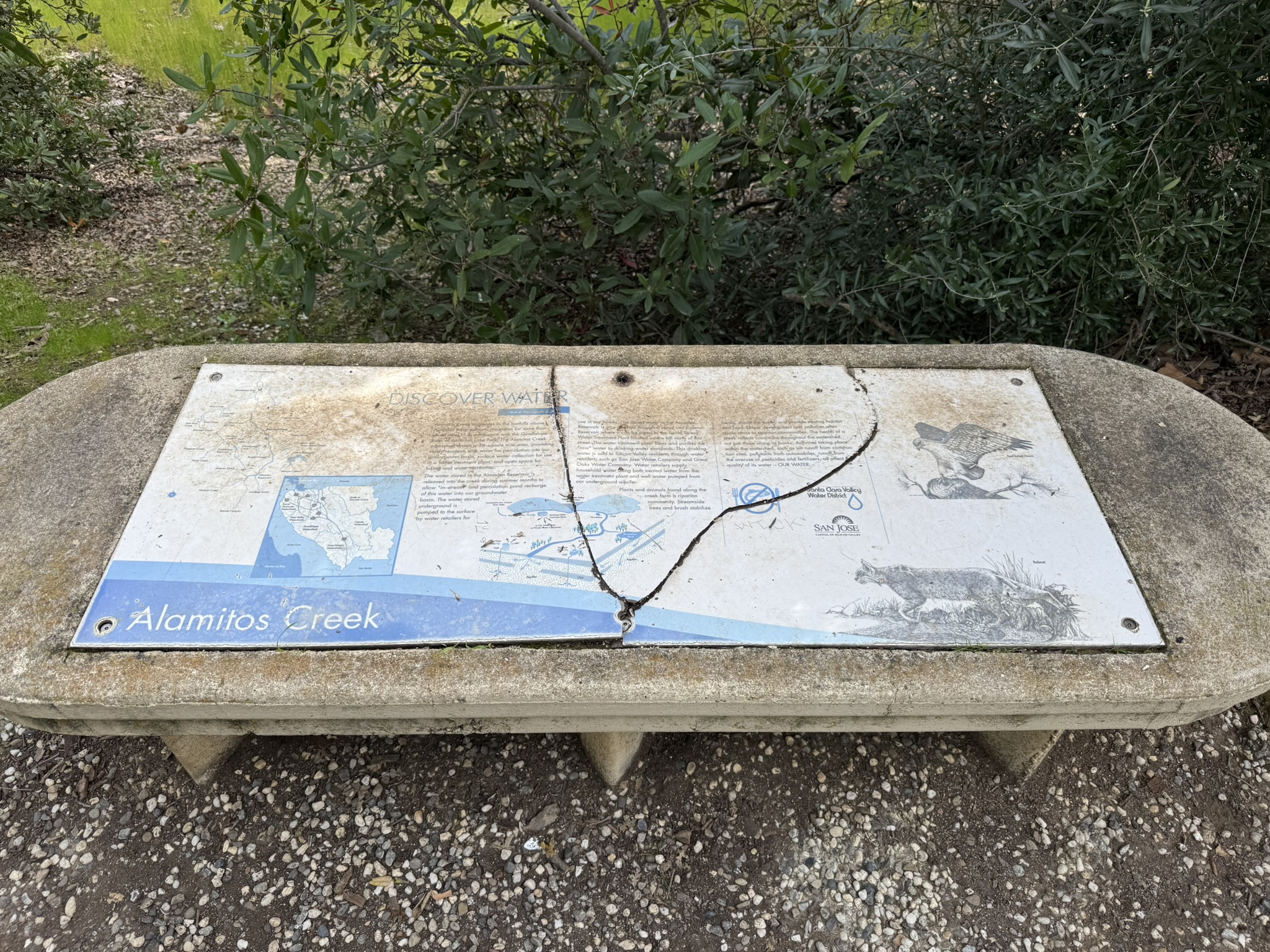 Los Alamitos Creek Trail South