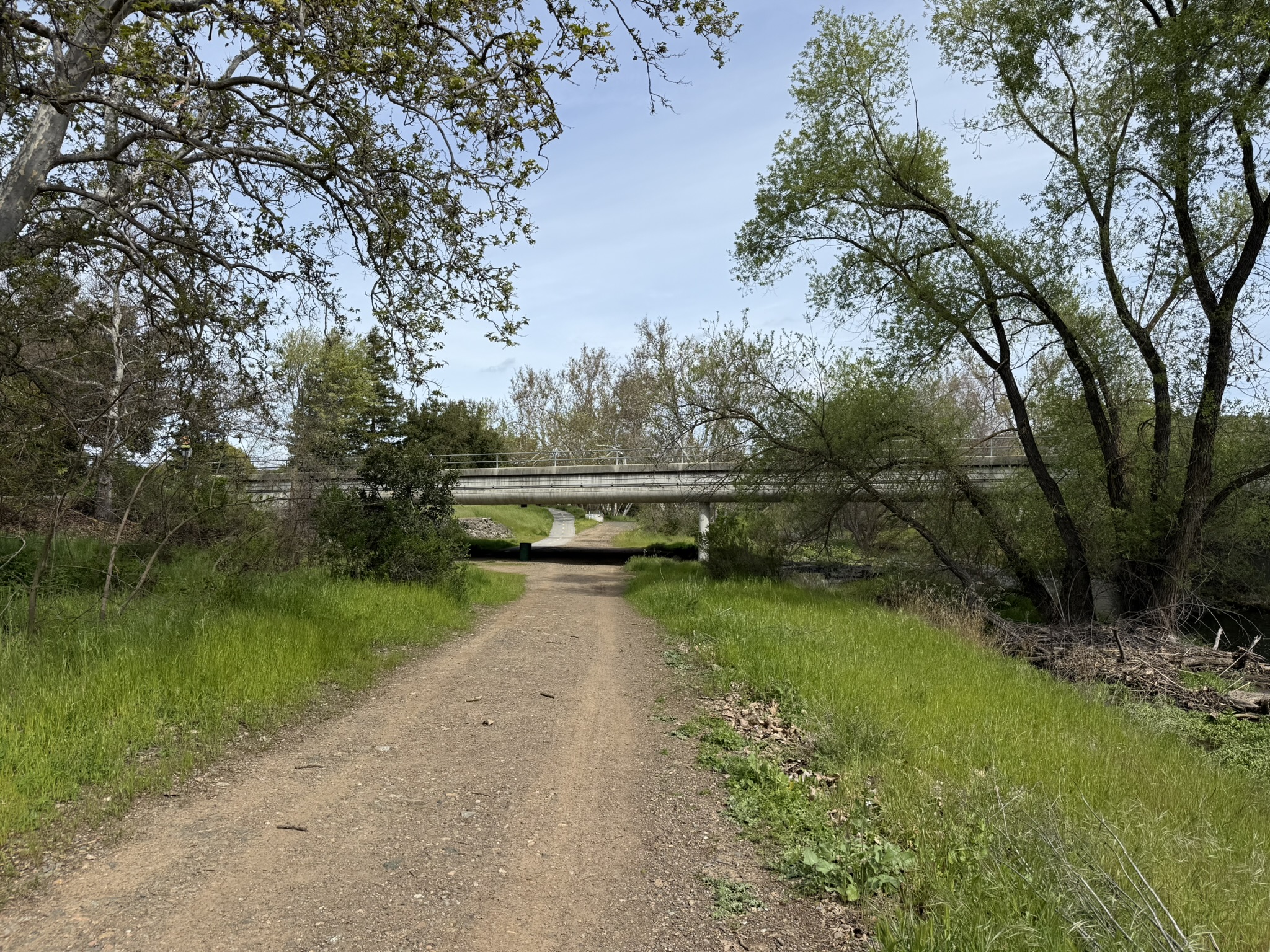 Los Alamitos Creek Trail South