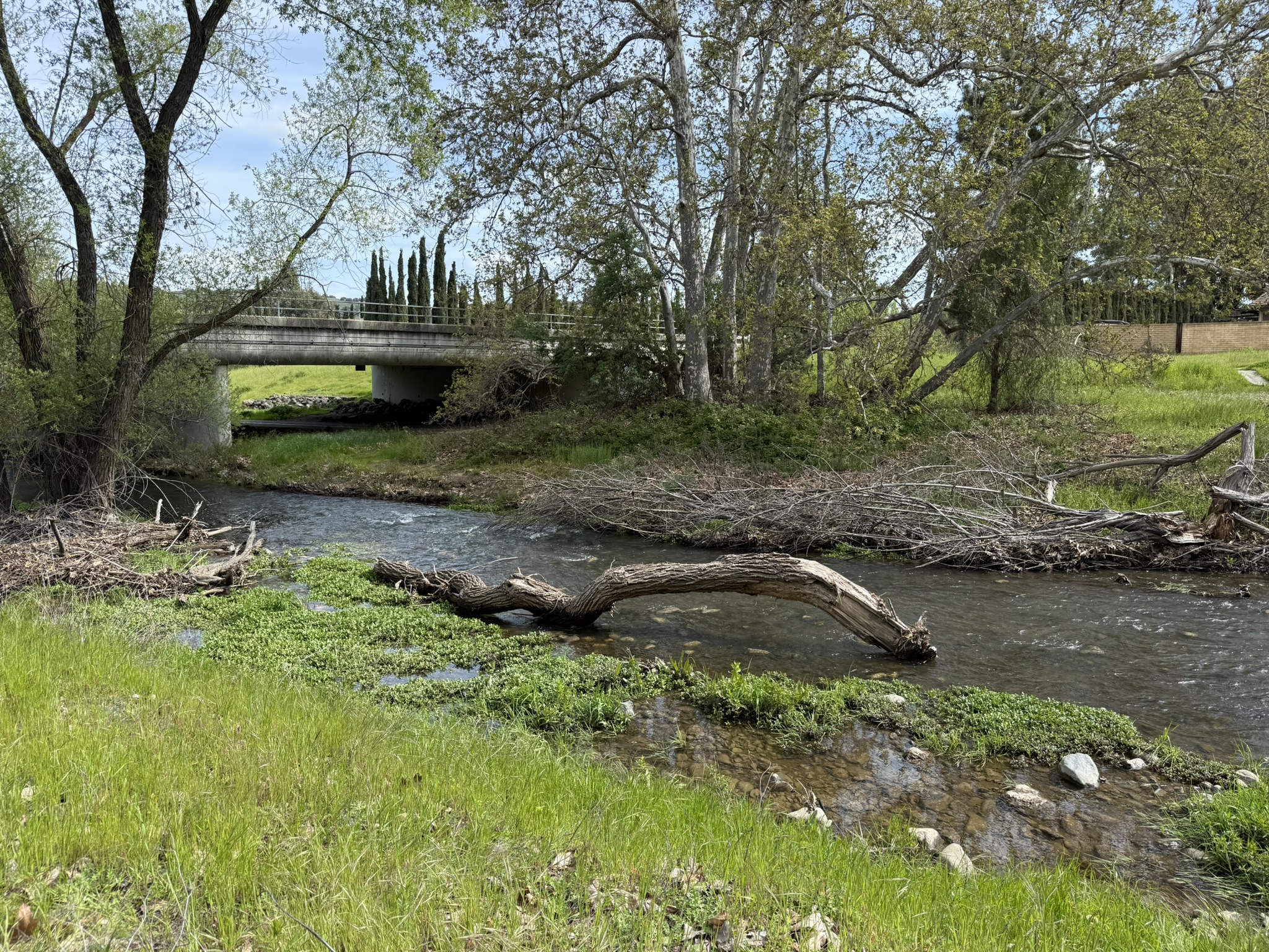 Los Alamitos Creek Trail South