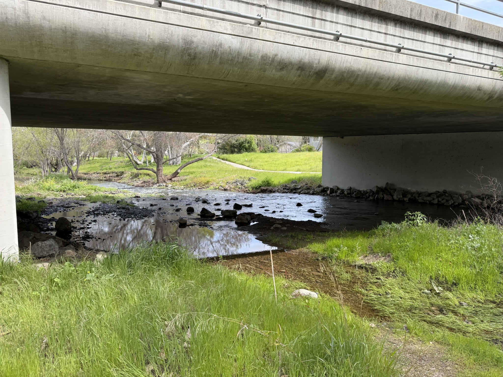 Los Alamitos Creek Trail South