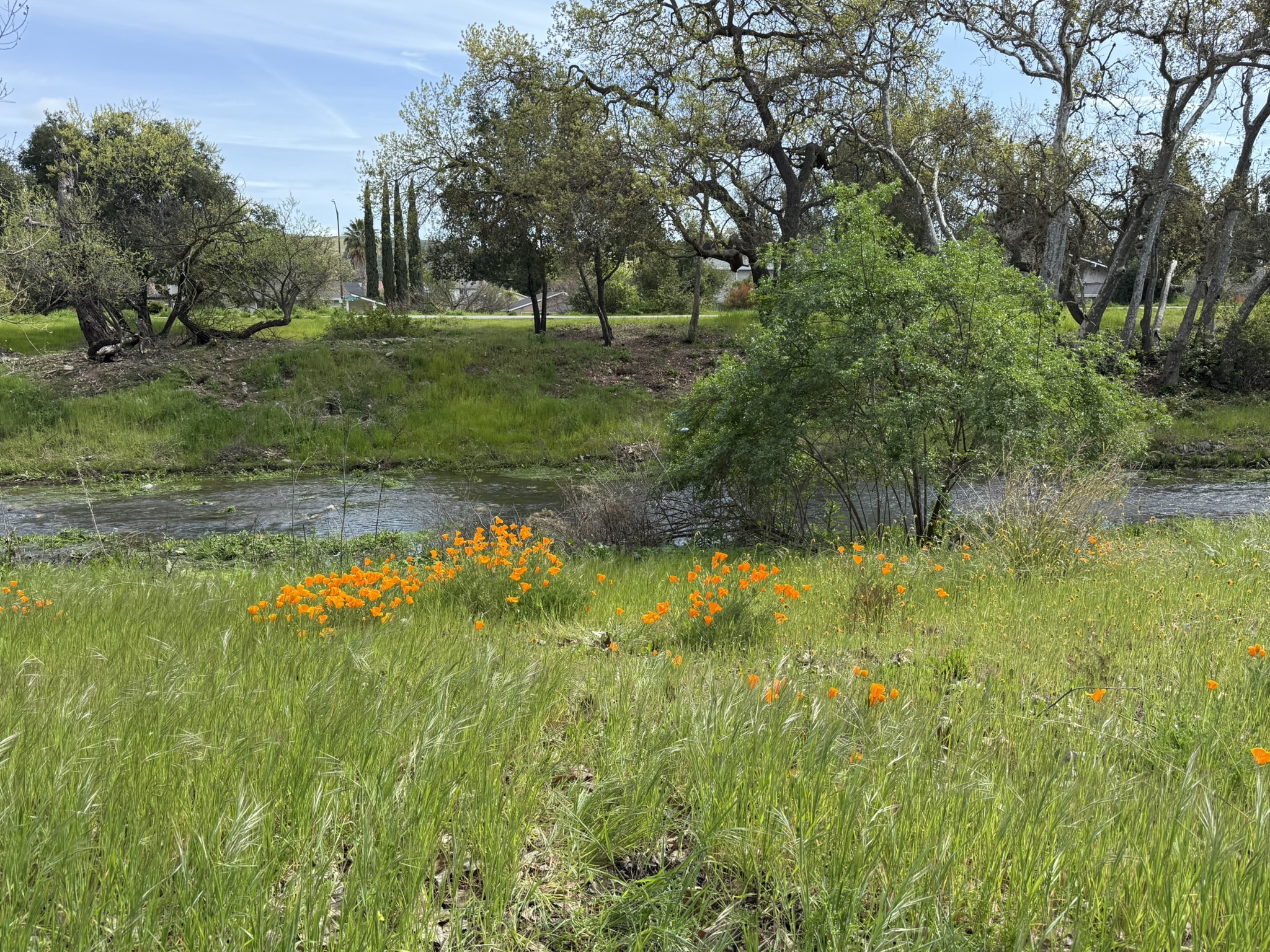 Los Alamitos Creek Trail South