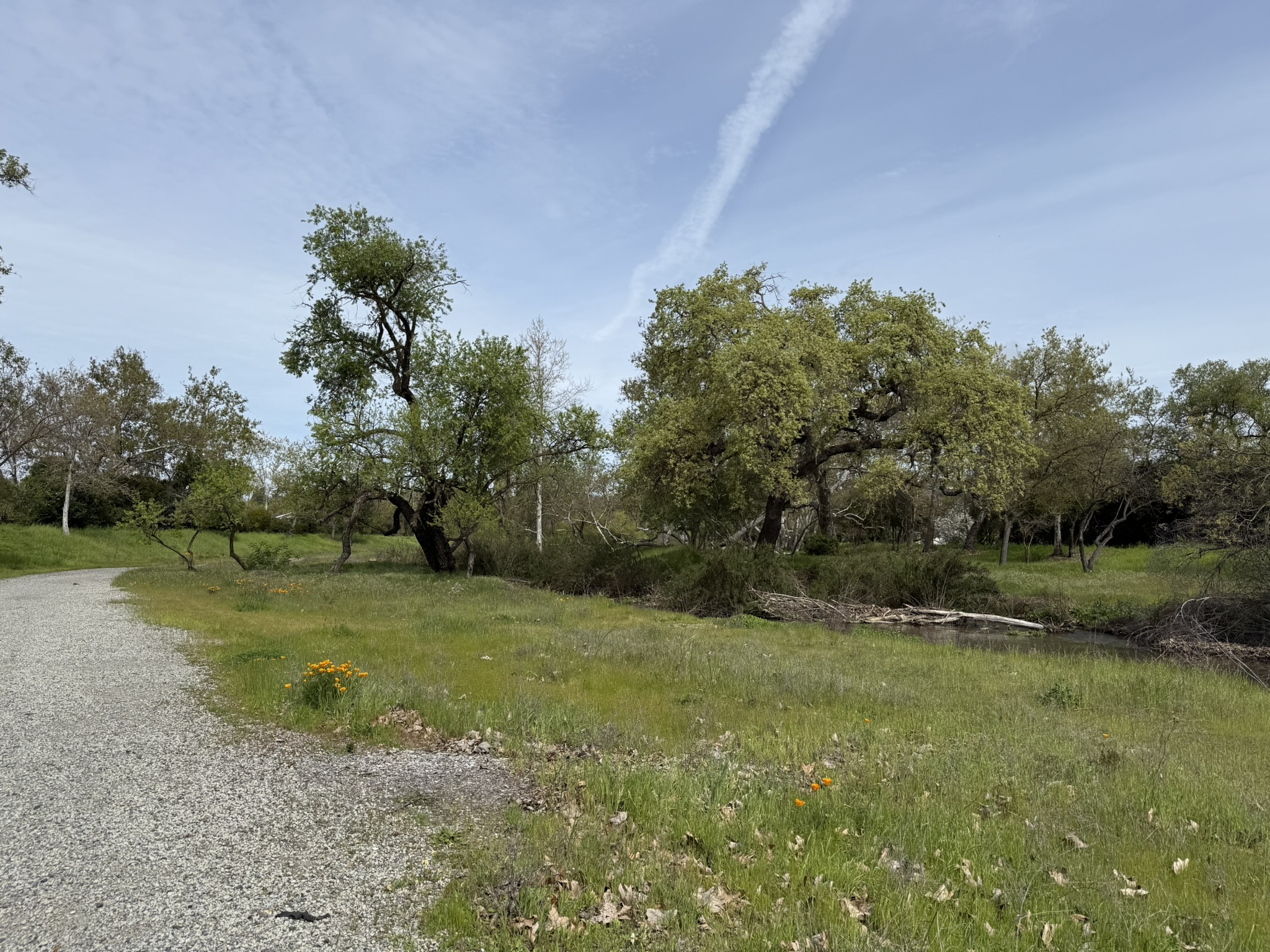 Los Alamitos Creek Trail South