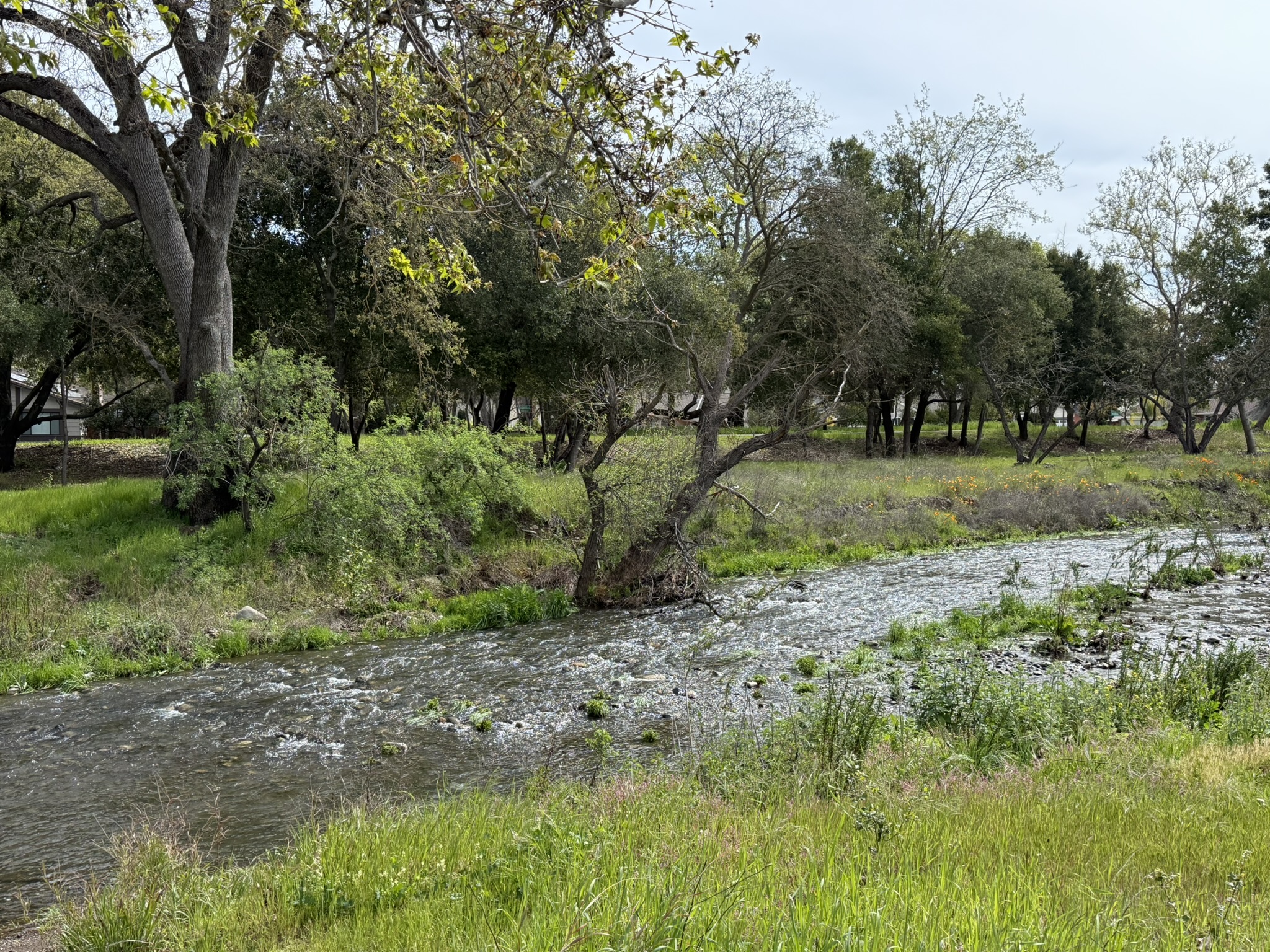 Los Alamitos Creek Trail South