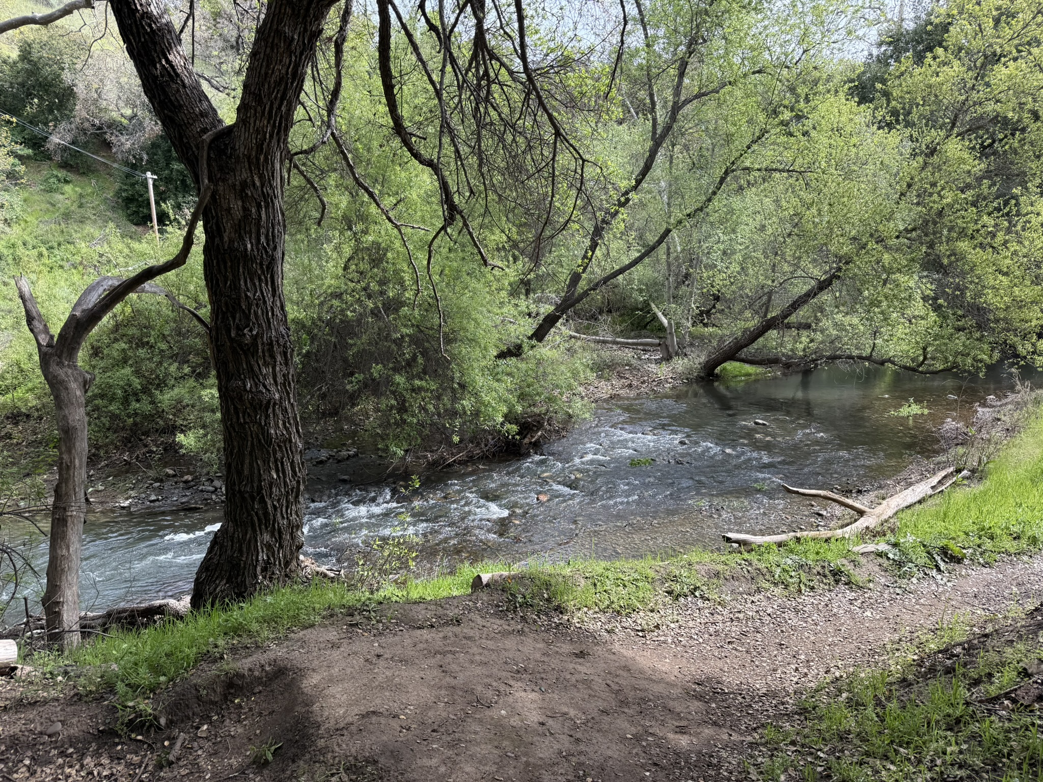 Los Alamitos Creek Trail South