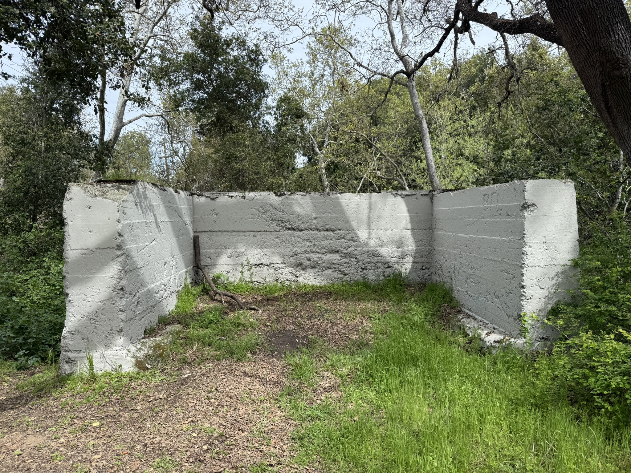 Los Alamitos Creek Trail South