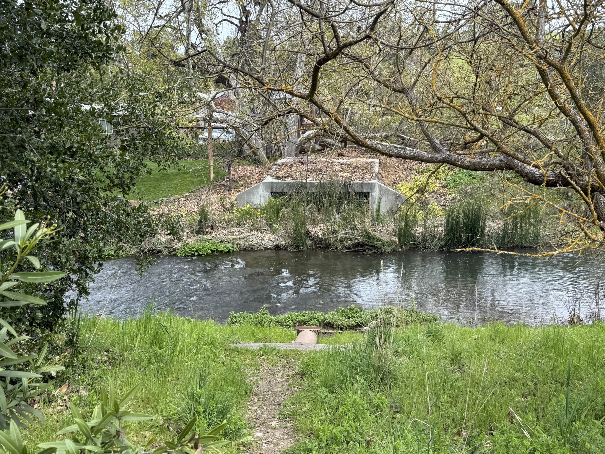 Los Alamitos Creek Trail South