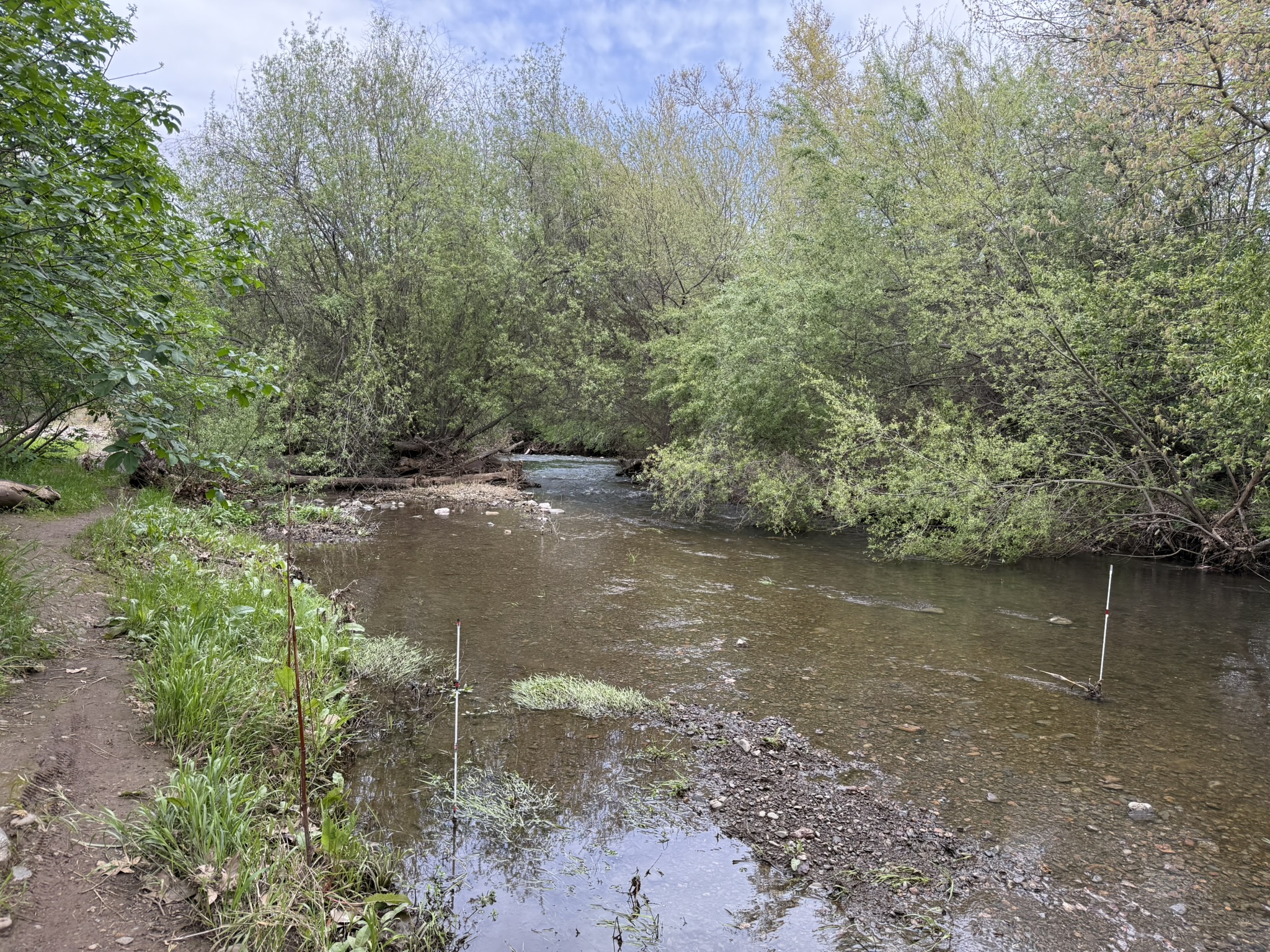 Los Alamitos Creek Trail South