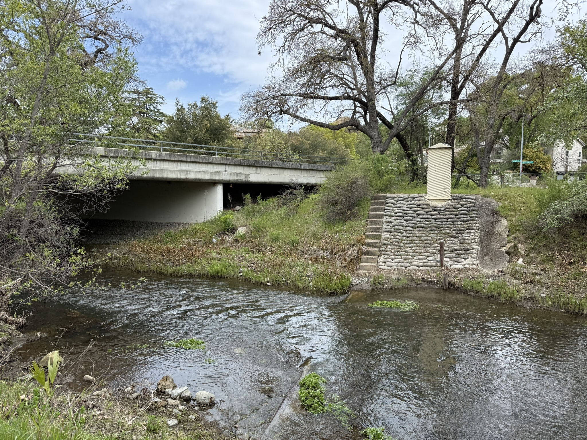 Los Alamitos Creek Trail South