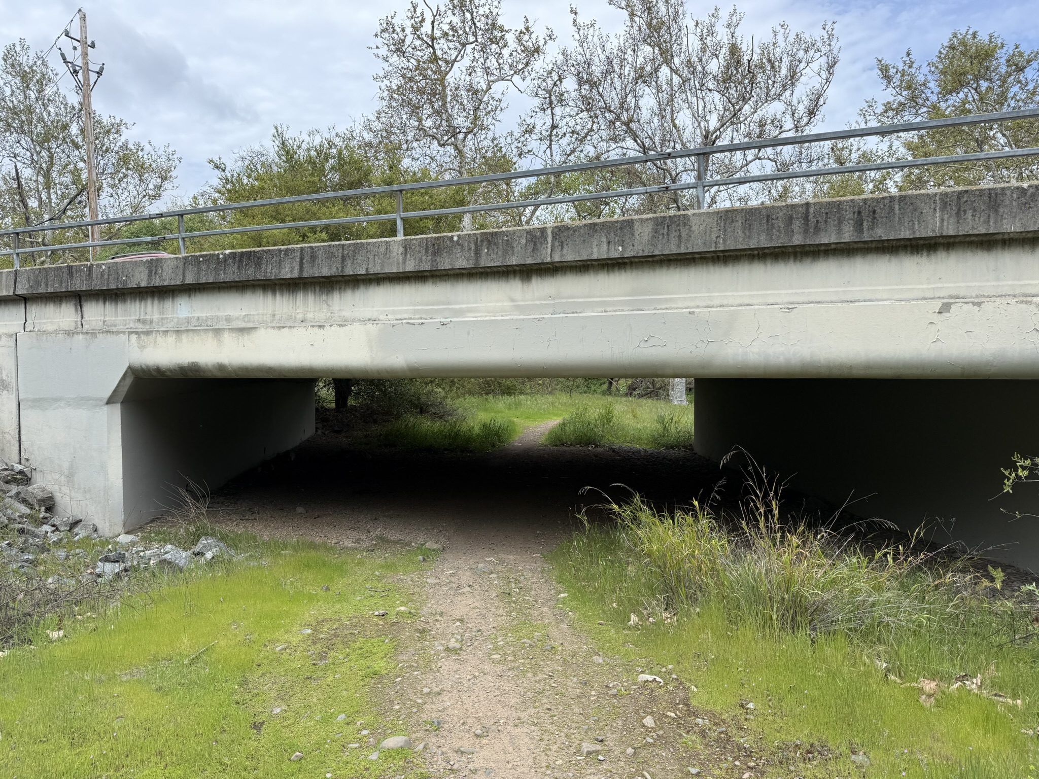 Los Alamitos Creek Trail South
