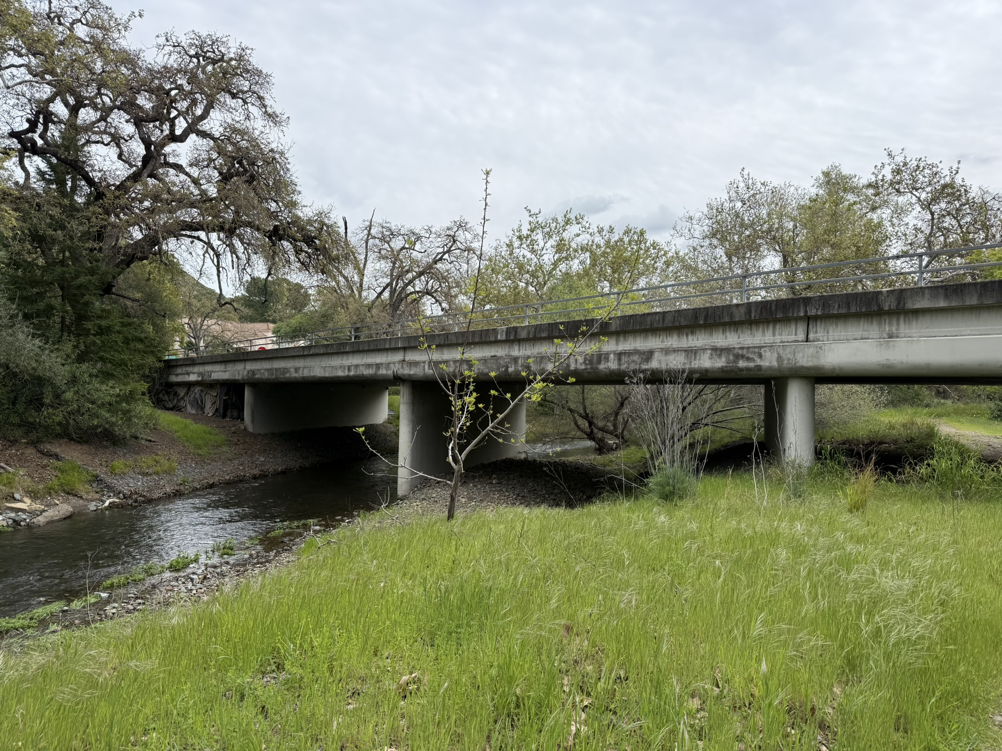 Los Alamitos Creek Trail South