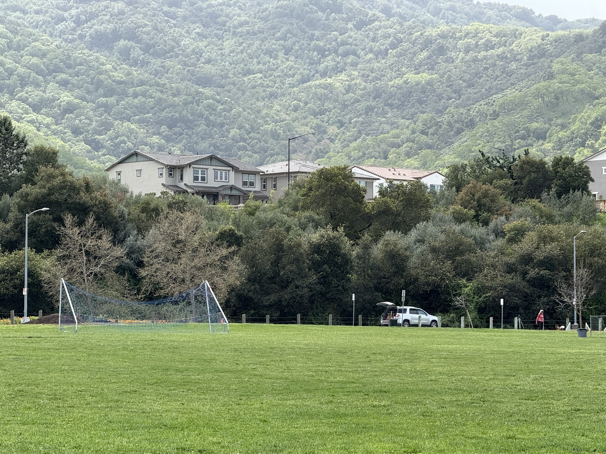 Debell Uvas Creek Preserve