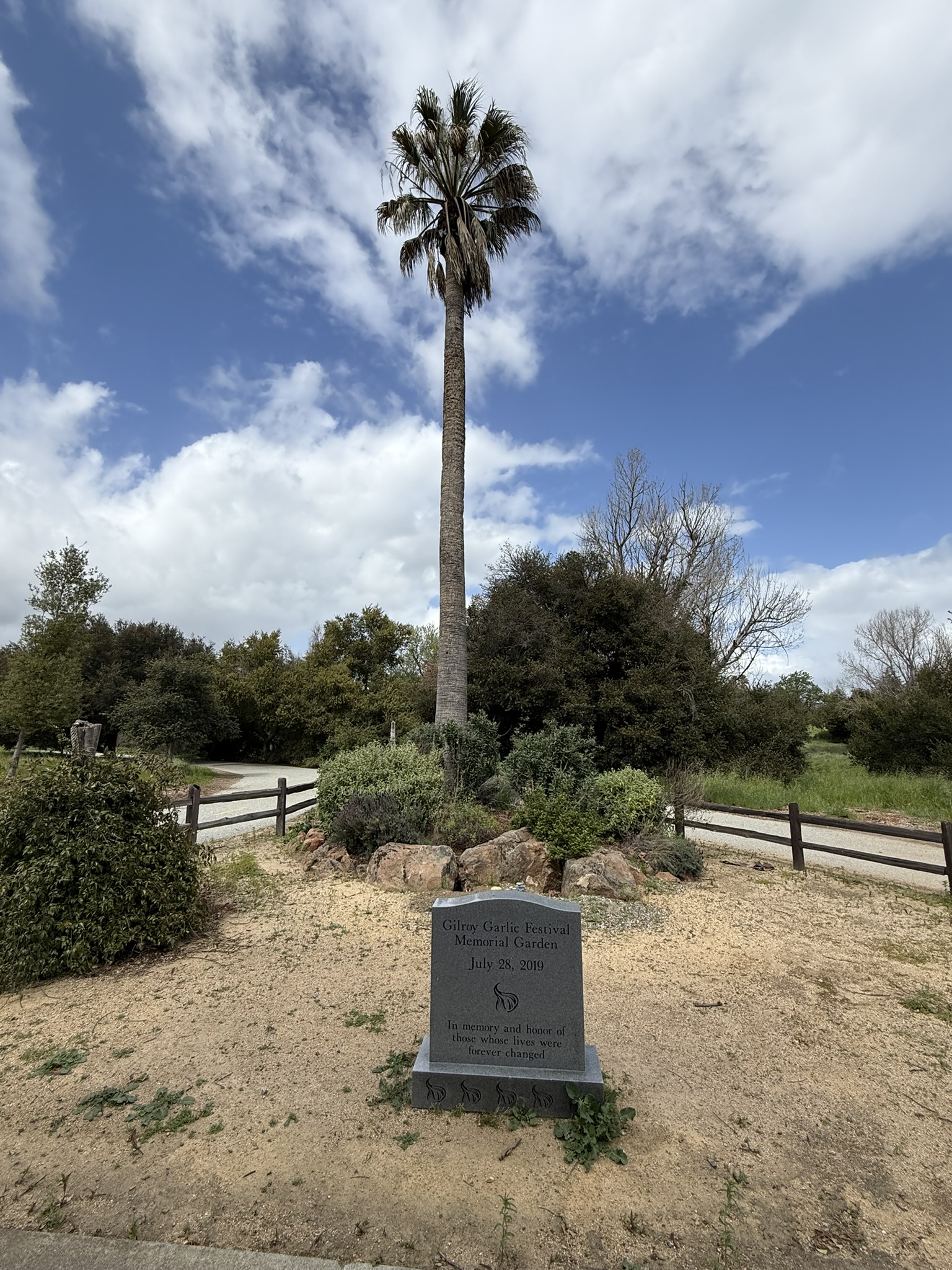Debell Uvas Creek Preserve