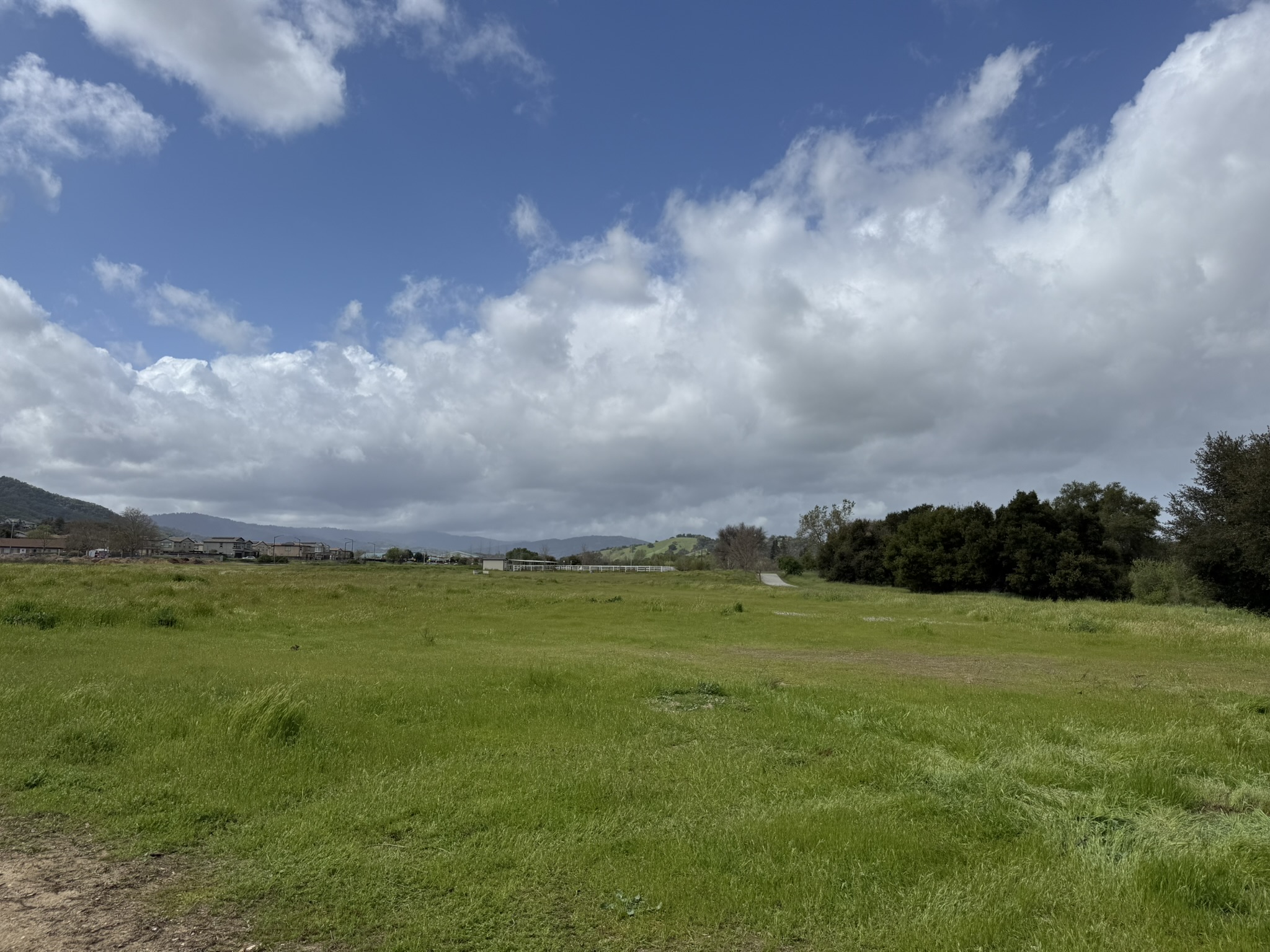 Debell Uvas Creek Preserve