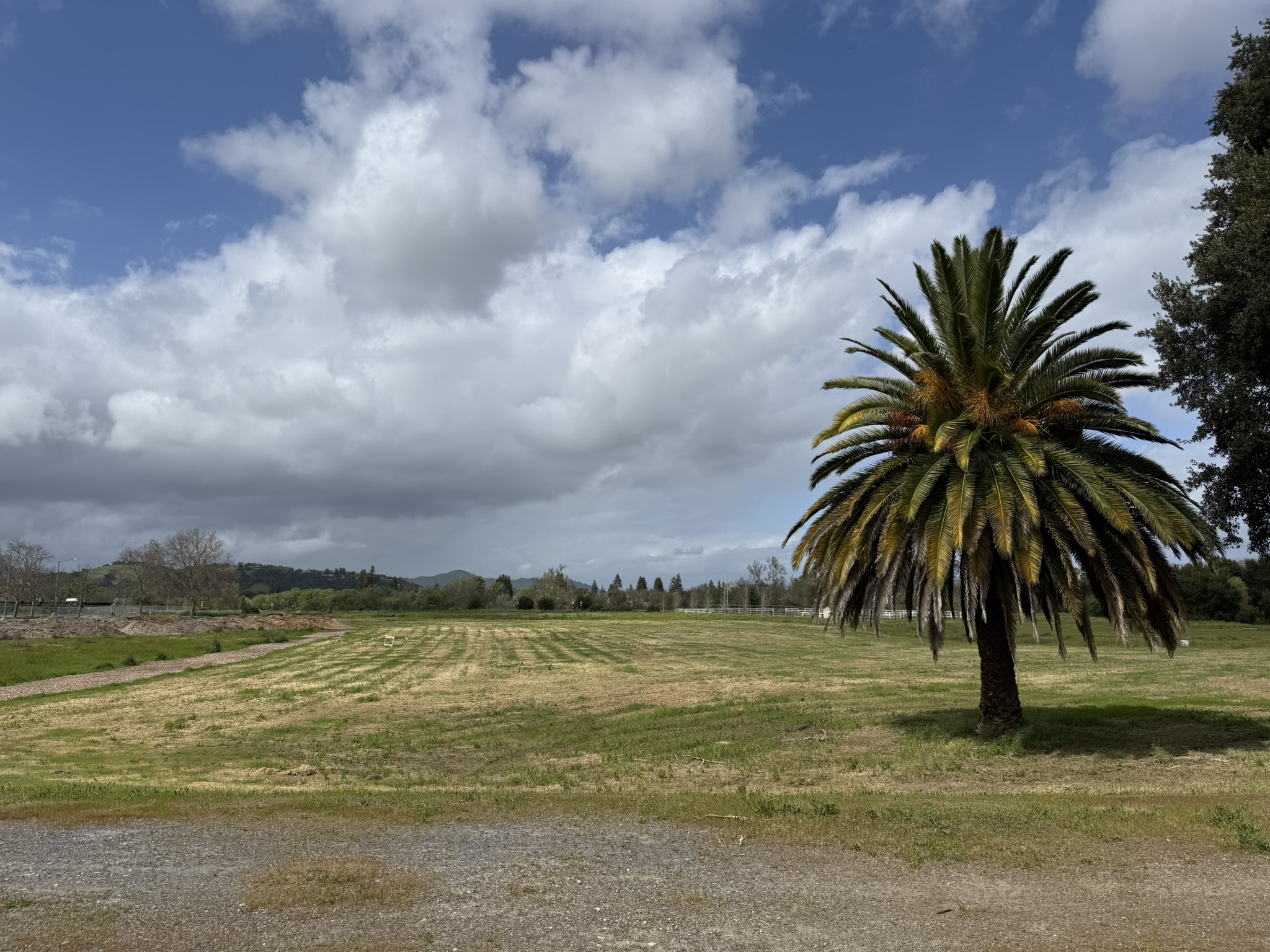 Debell Uvas Creek Preserve