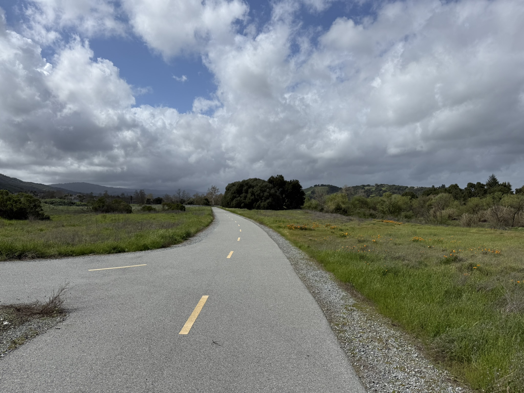 Debell Uvas Creek Preserve