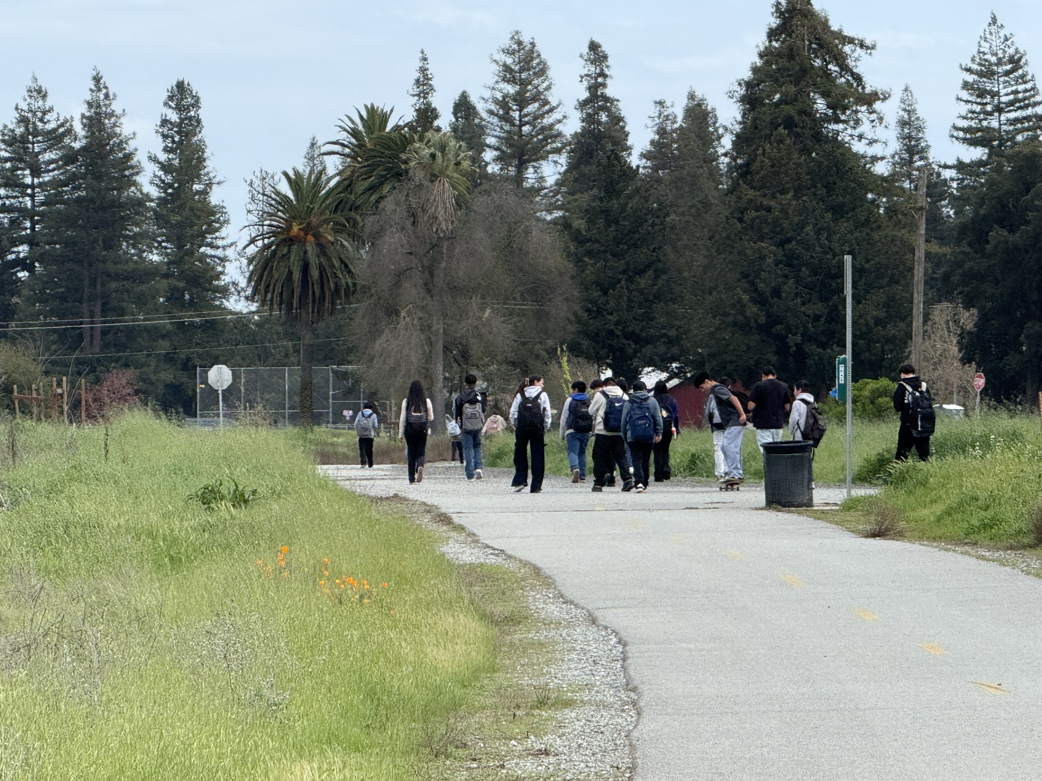 Debell Uvas Creek Preserve