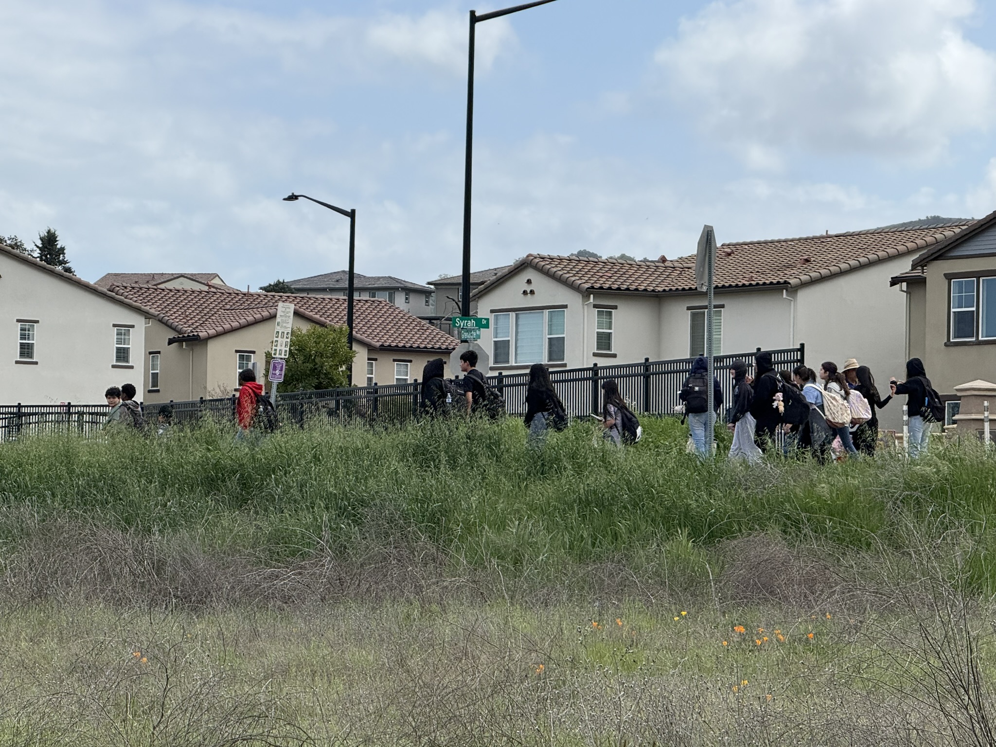 Debell Uvas Creek Preserve