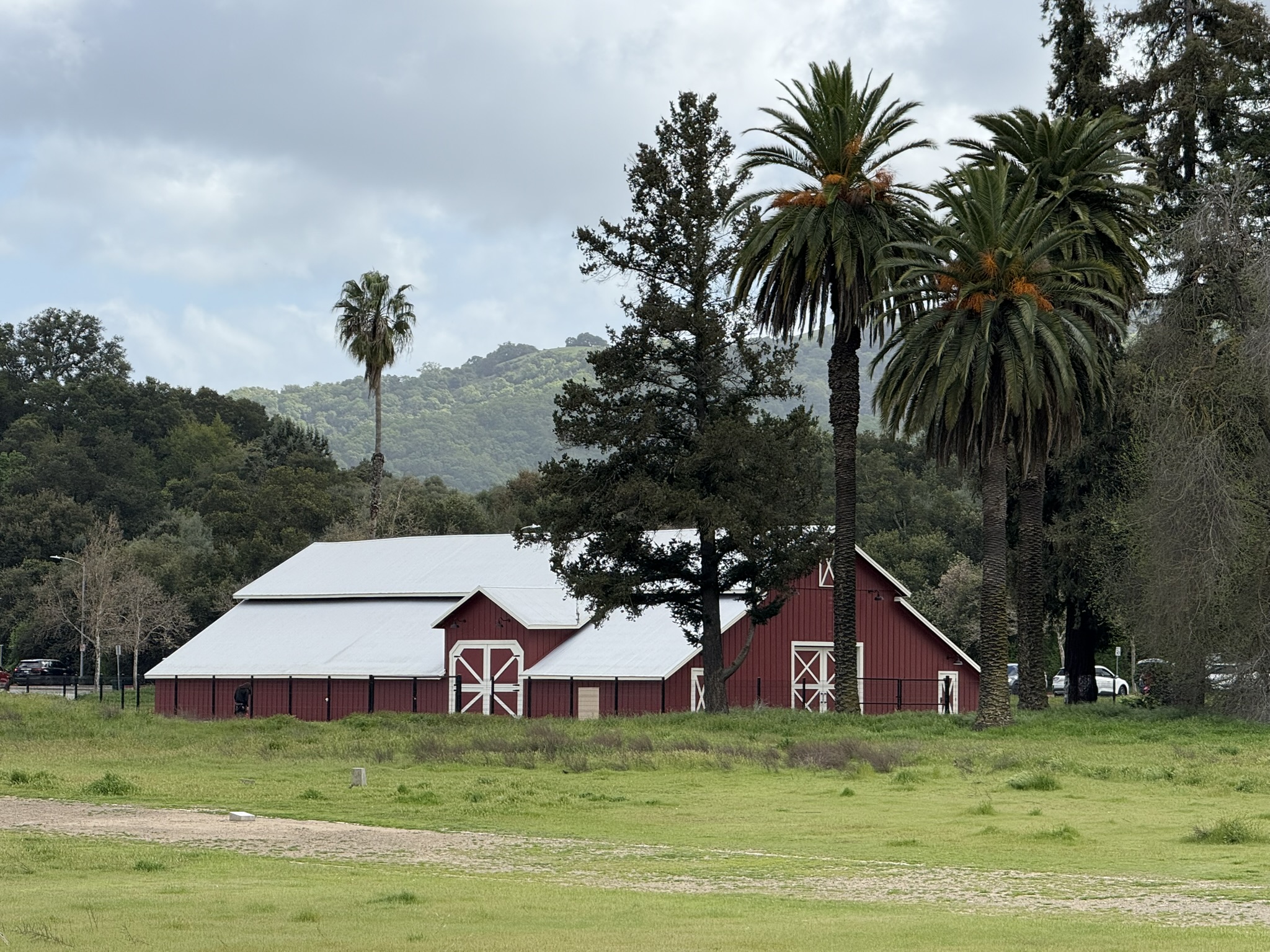 Debell Uvas Creek Preserve