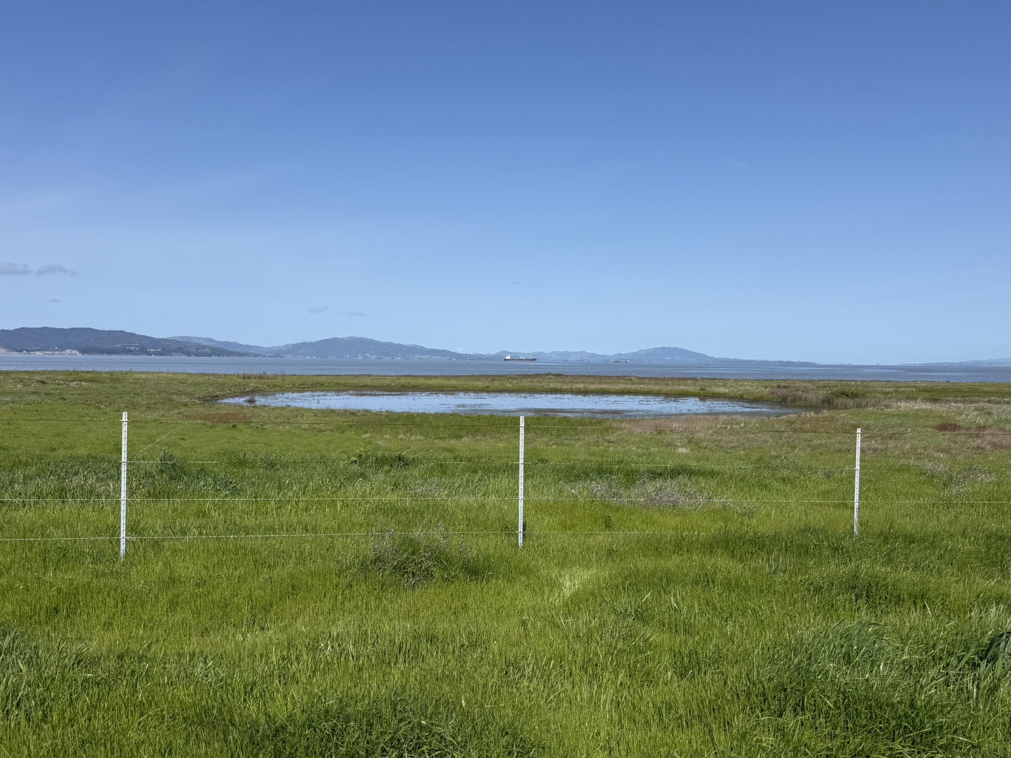 Point Pinole Regional Shoreline