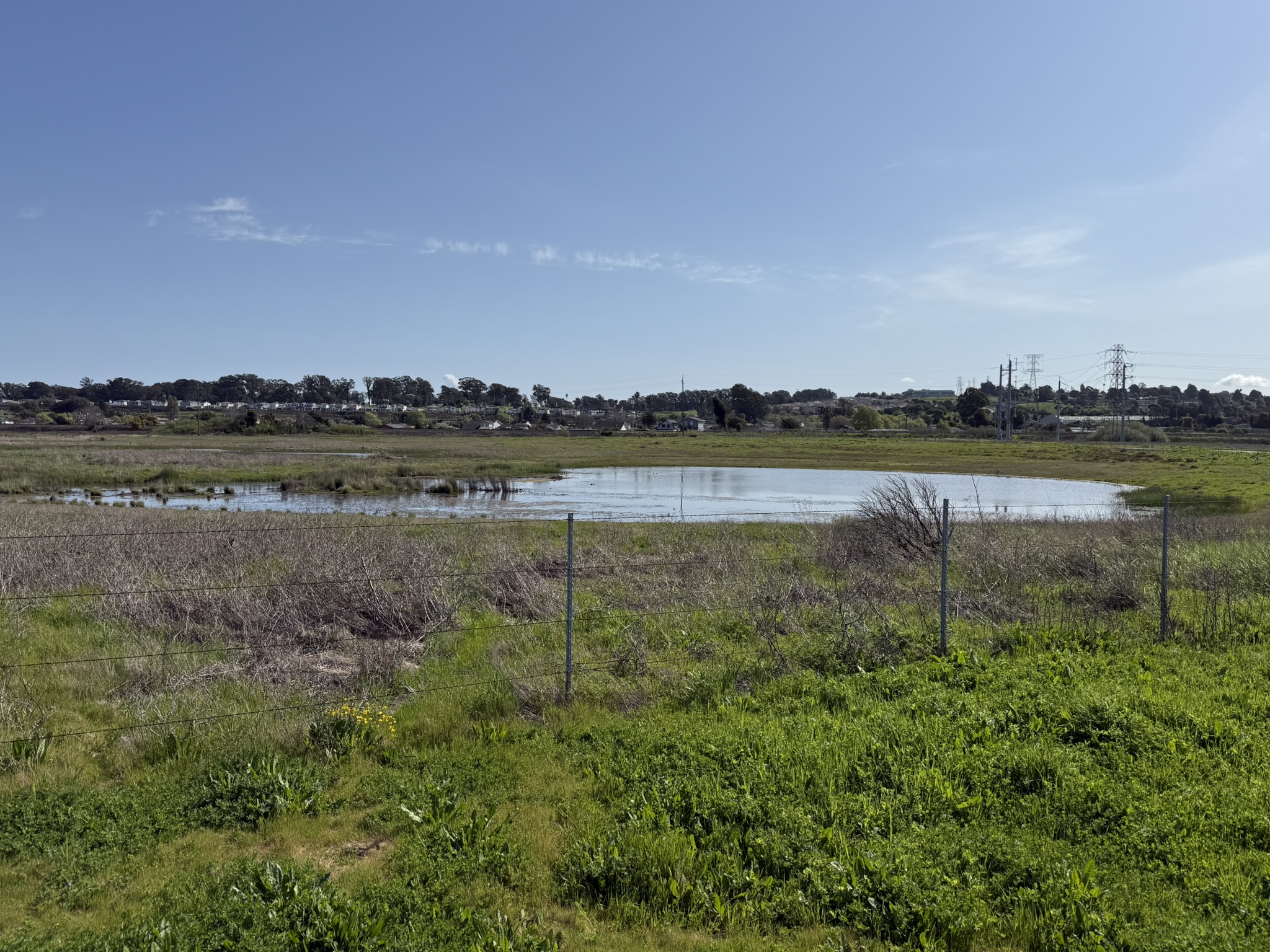 Point Pinole Regional Shoreline