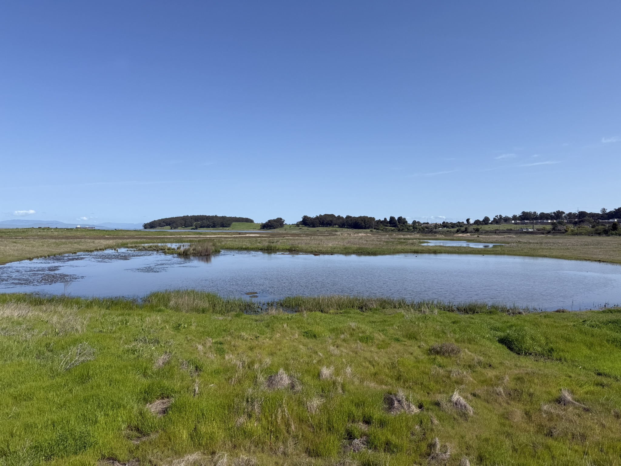 Point Pinole Regional Shoreline