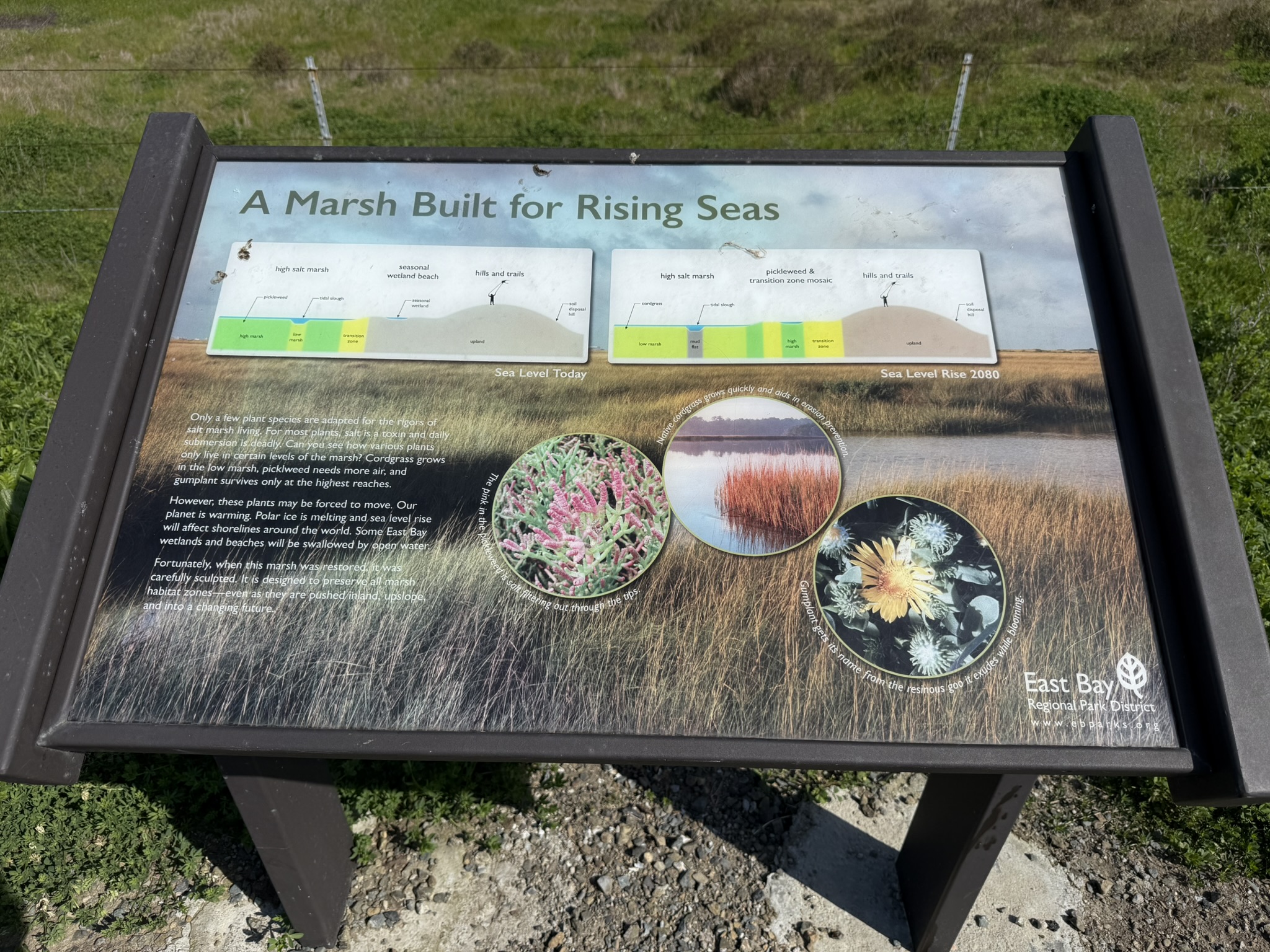 Point Pinole Regional Shoreline