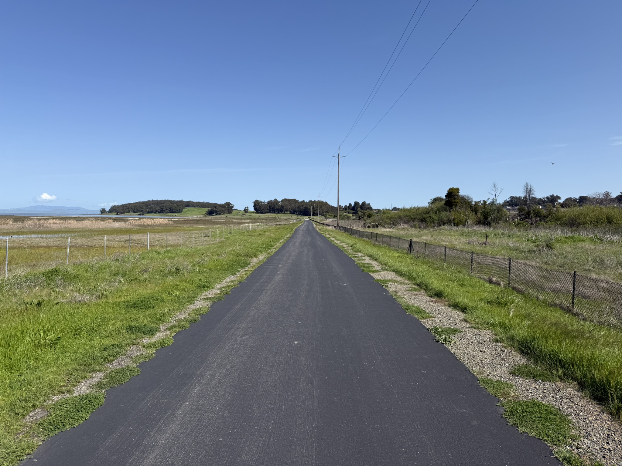 Point Pinole Regional Shoreline