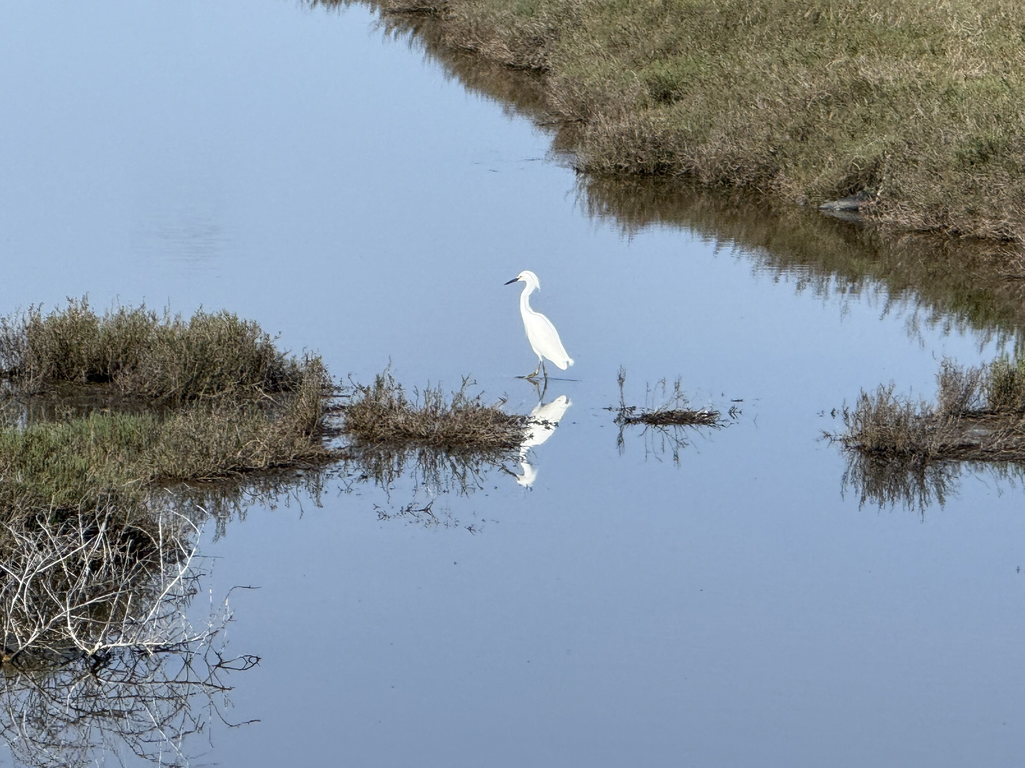 Point Pinole Regional Shoreline