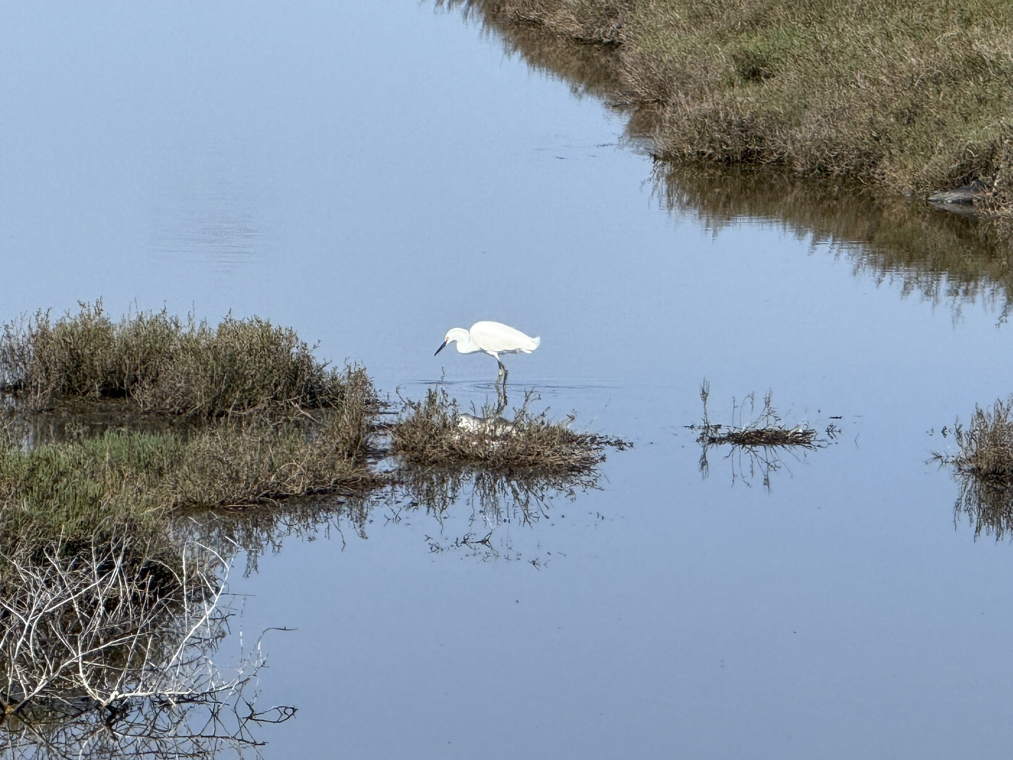 Point Pinole Regional Shoreline