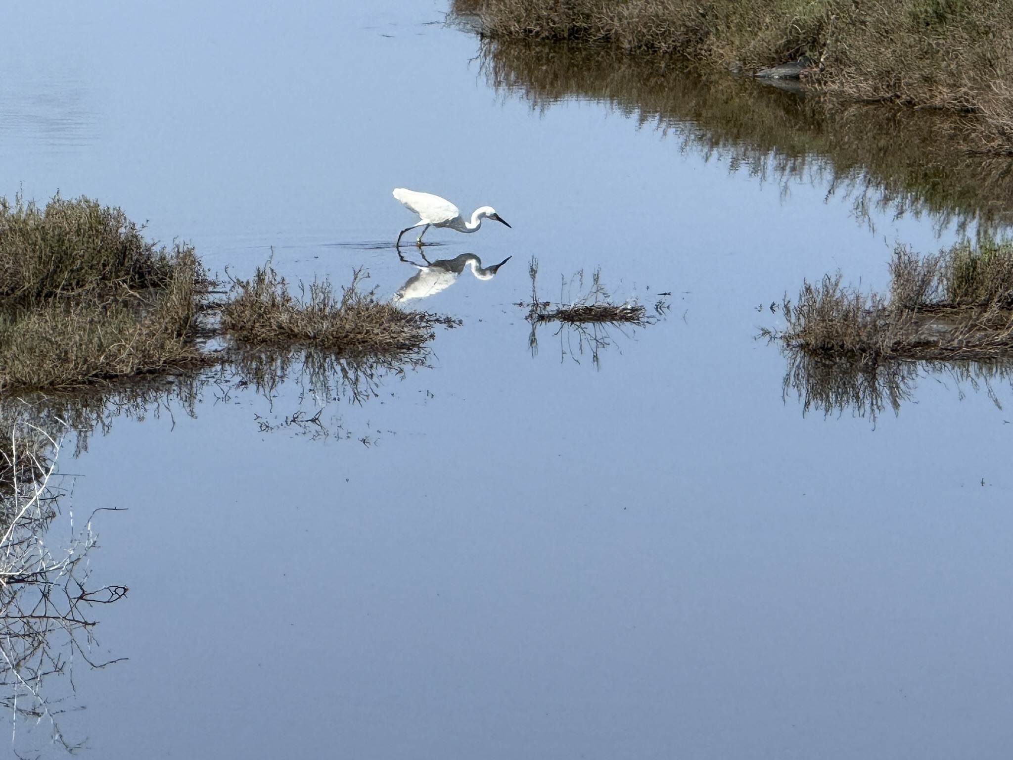 Point Pinole Regional Shoreline