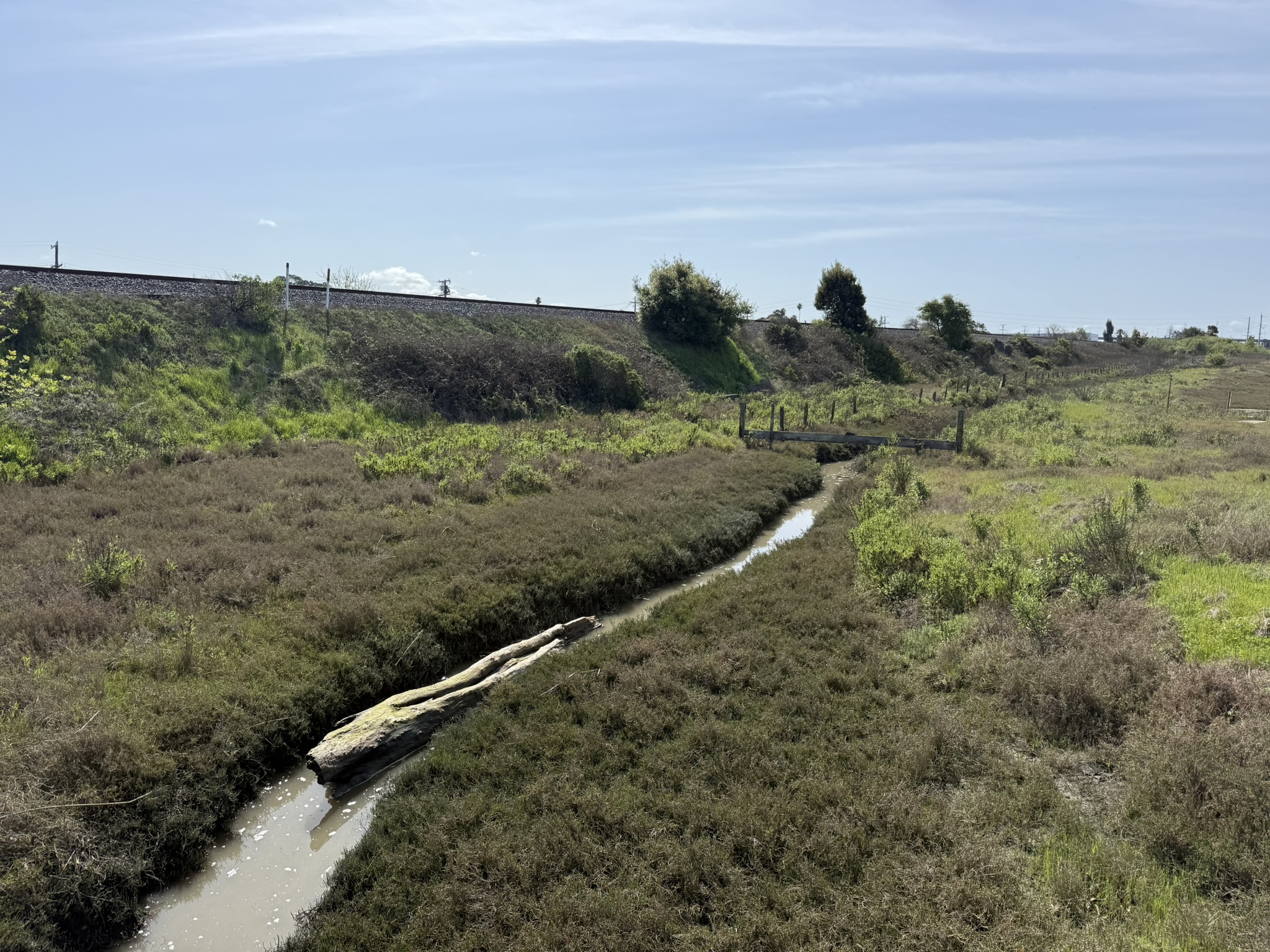Point Pinole Regional Shoreline