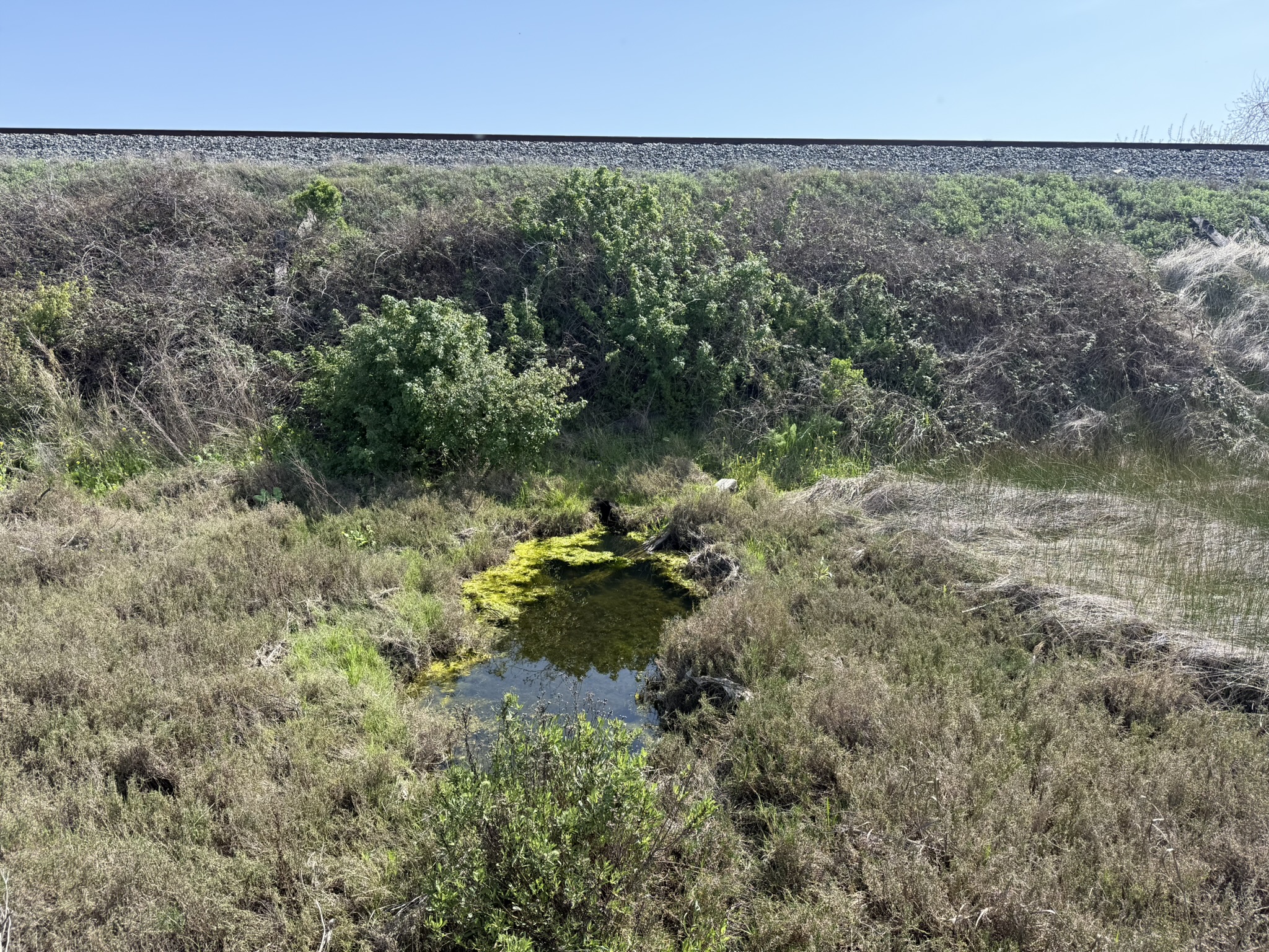 Point Pinole Regional Shoreline