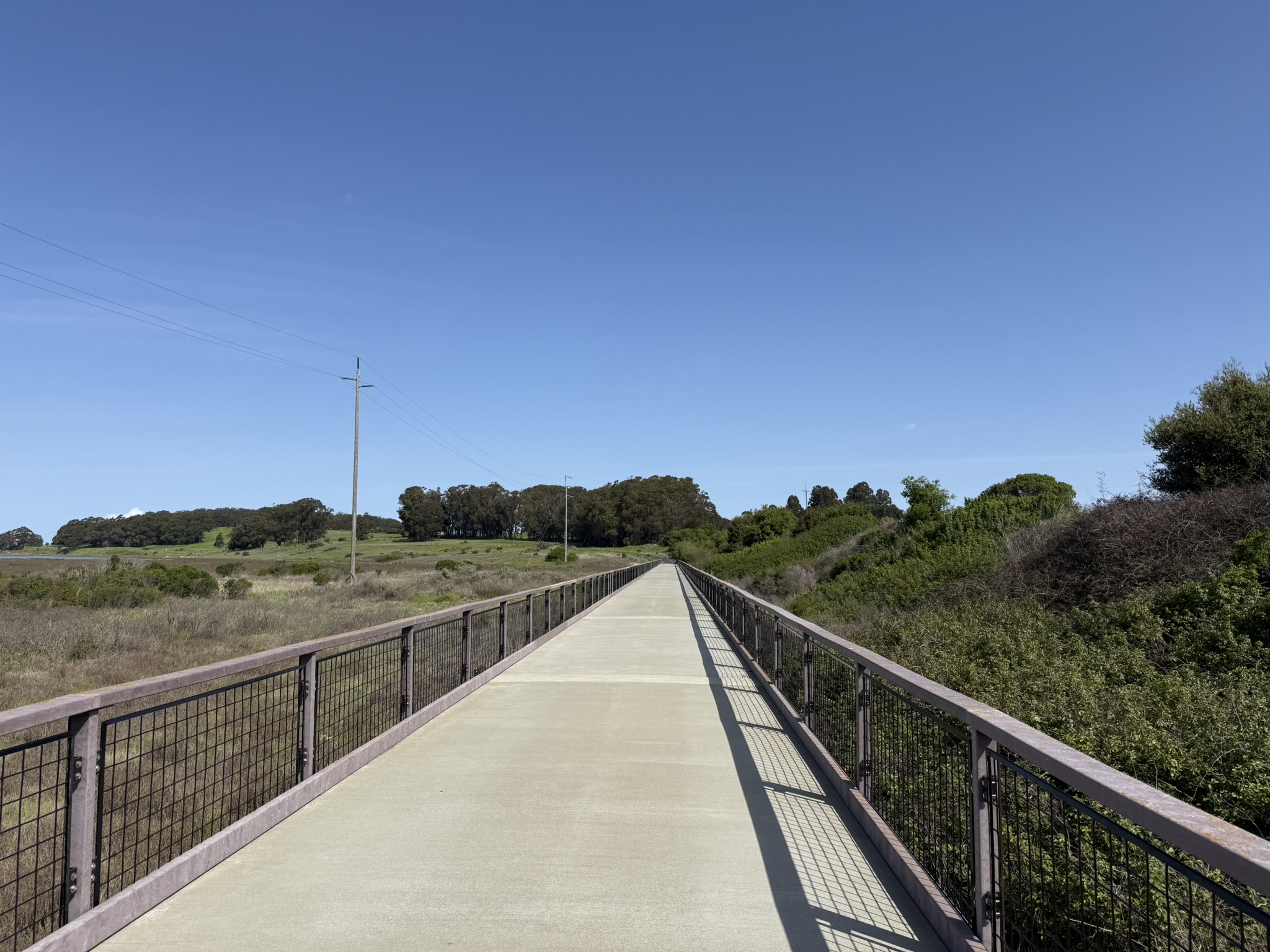 Point Pinole Regional Shoreline