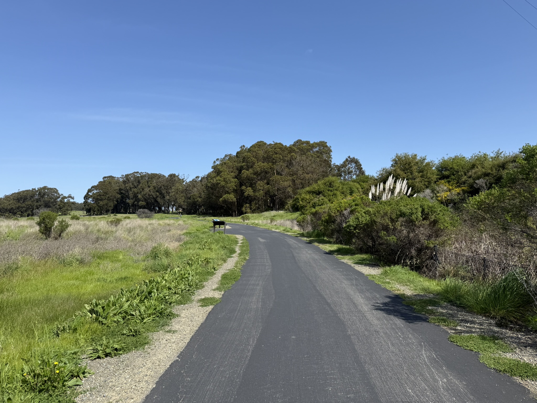 Point Pinole Regional Shoreline