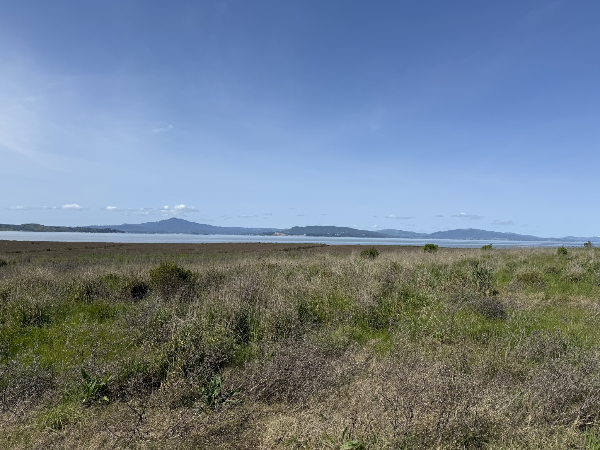 Point Pinole Regional Shoreline