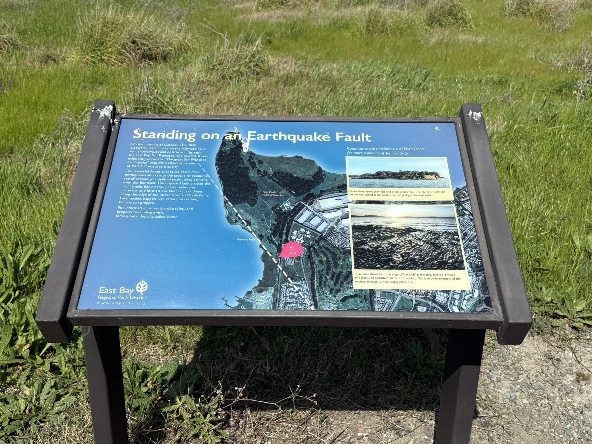 Point Pinole Regional Shoreline