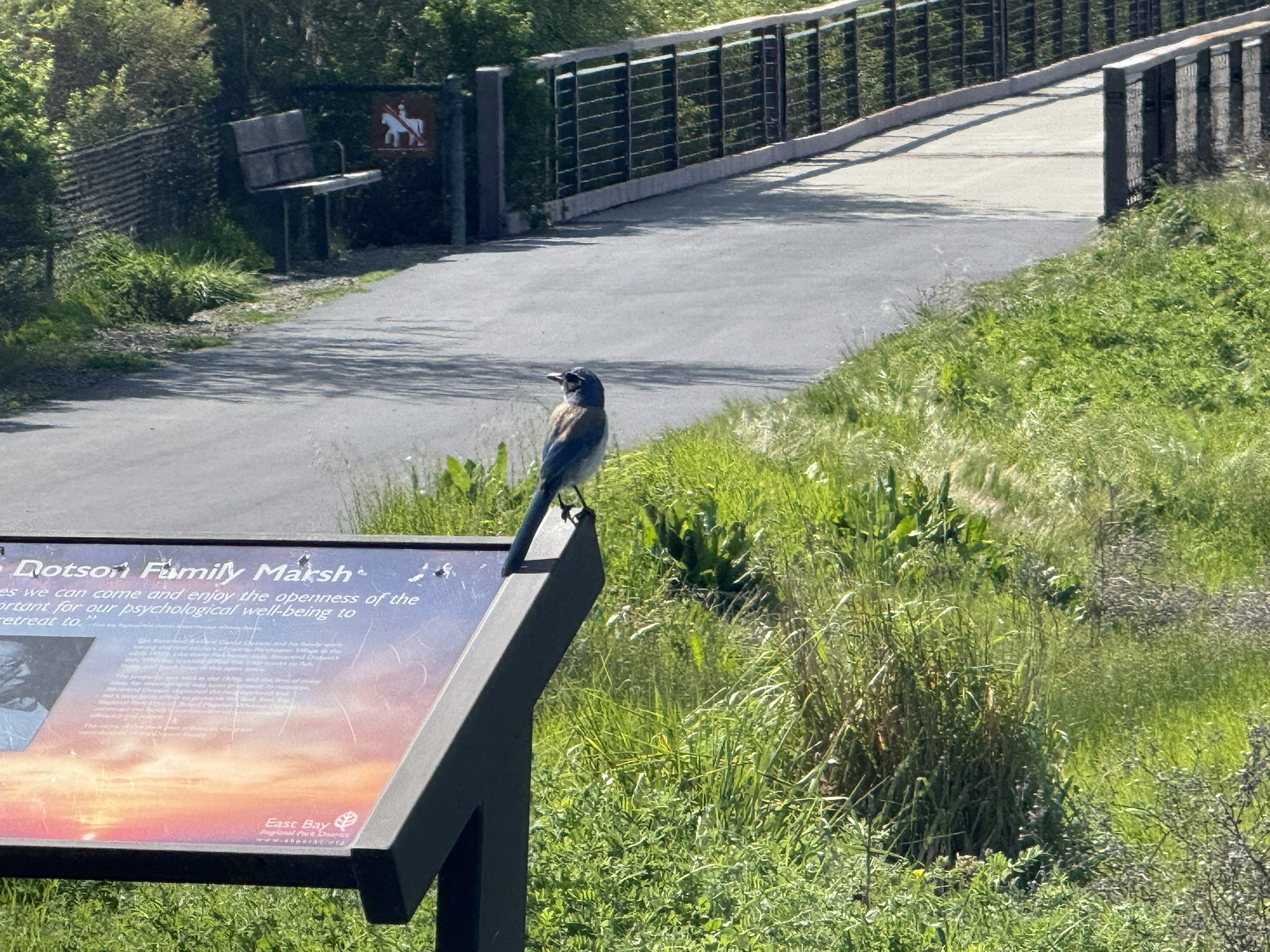 Point Pinole Regional Shoreline