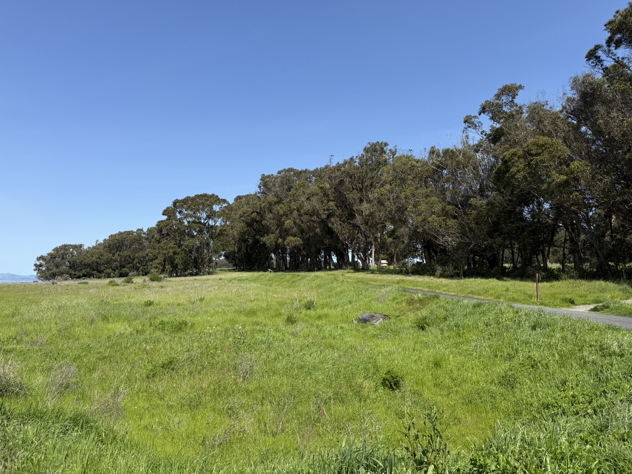 Point Pinole Regional Shoreline