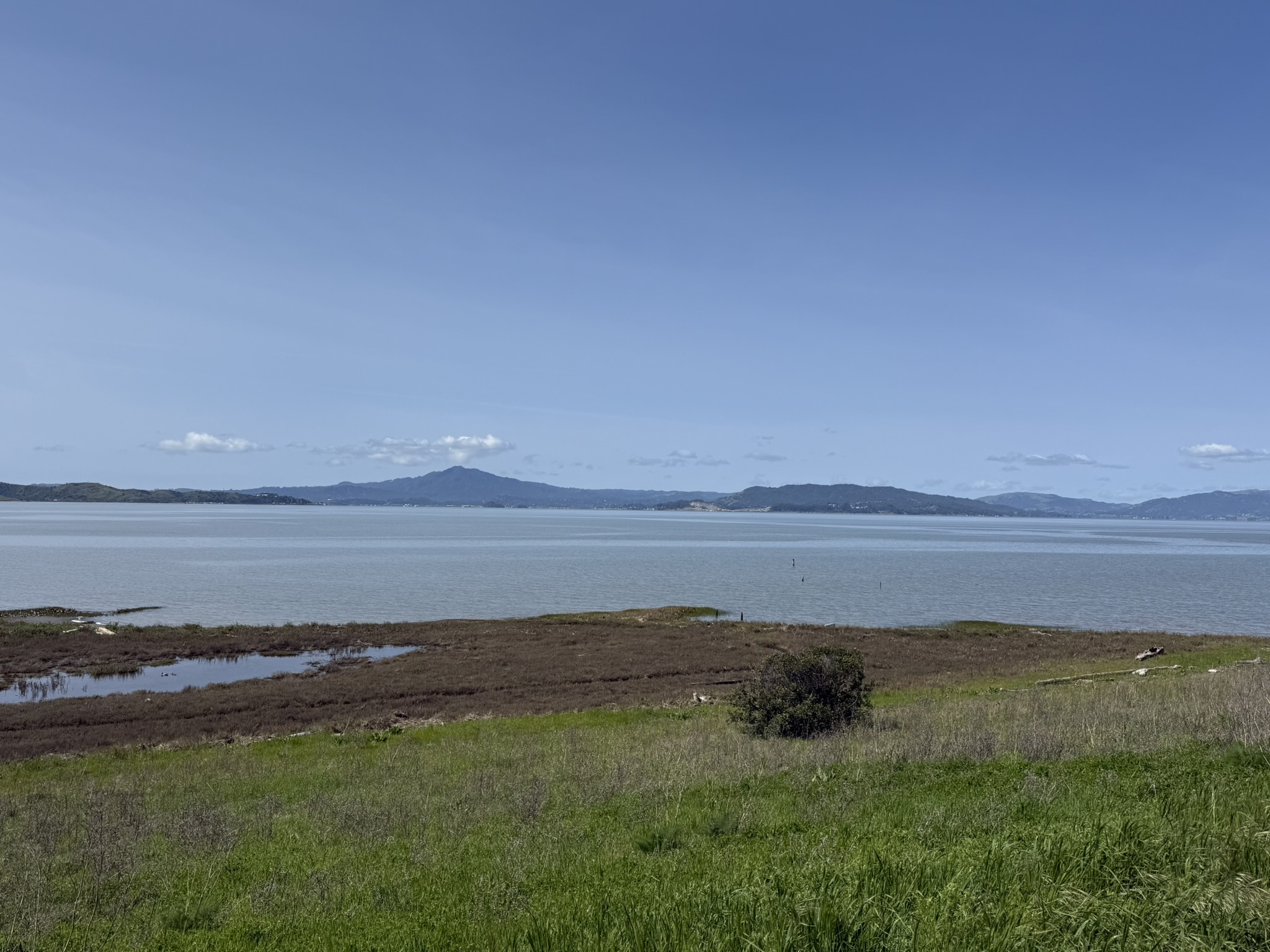 Point Pinole Regional Shoreline