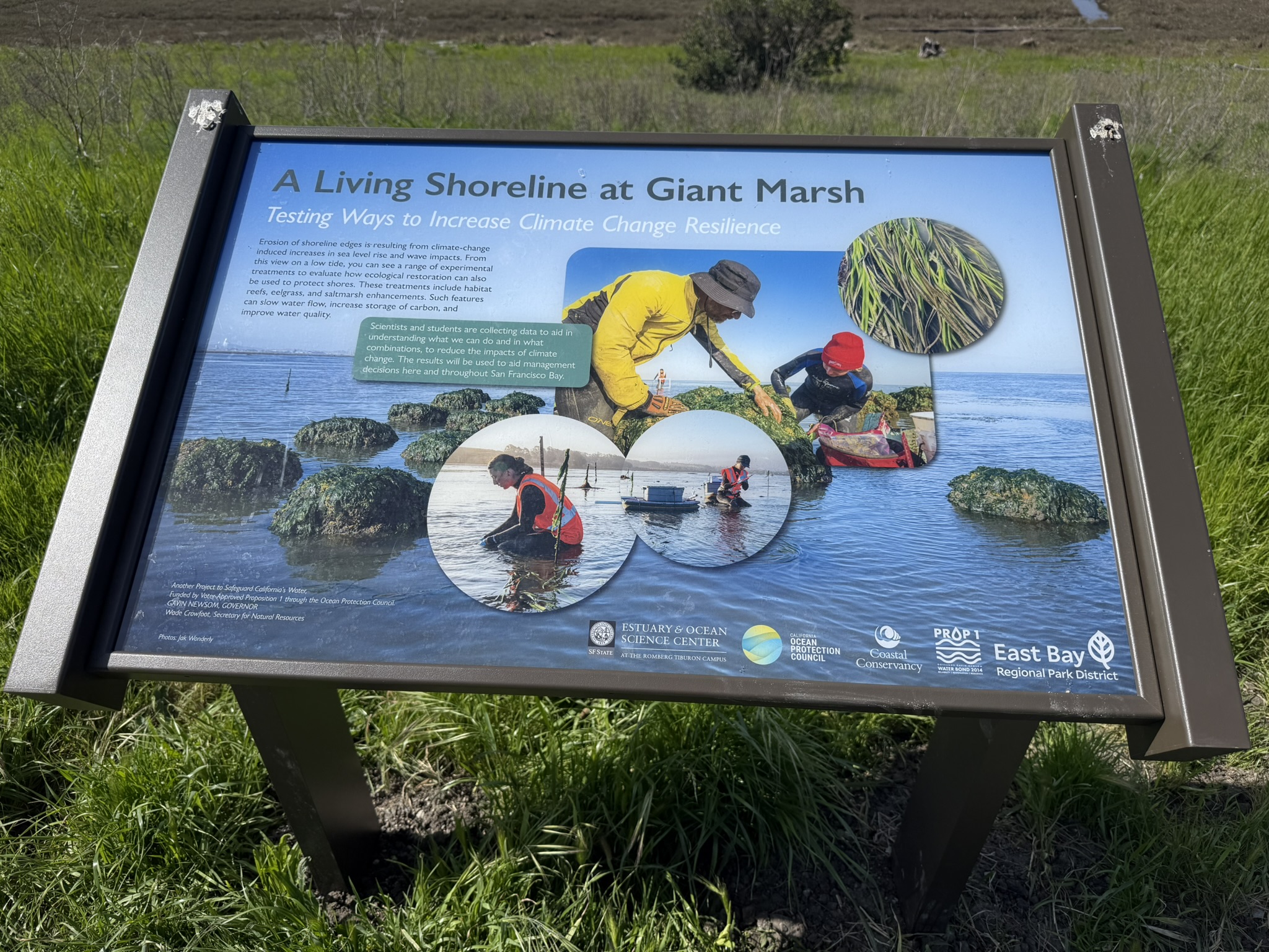 Point Pinole Regional Shoreline