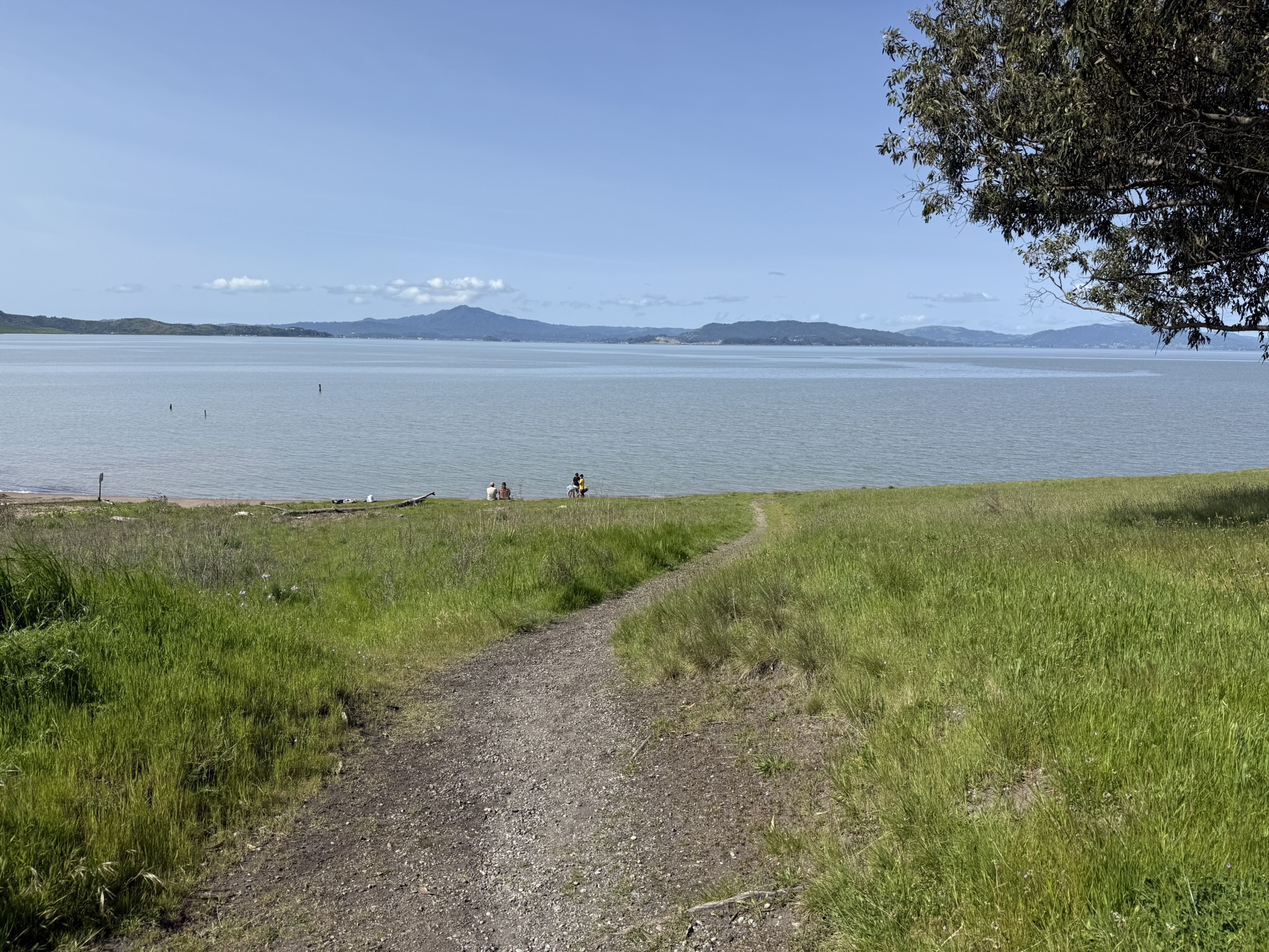 Point Pinole Regional Shoreline