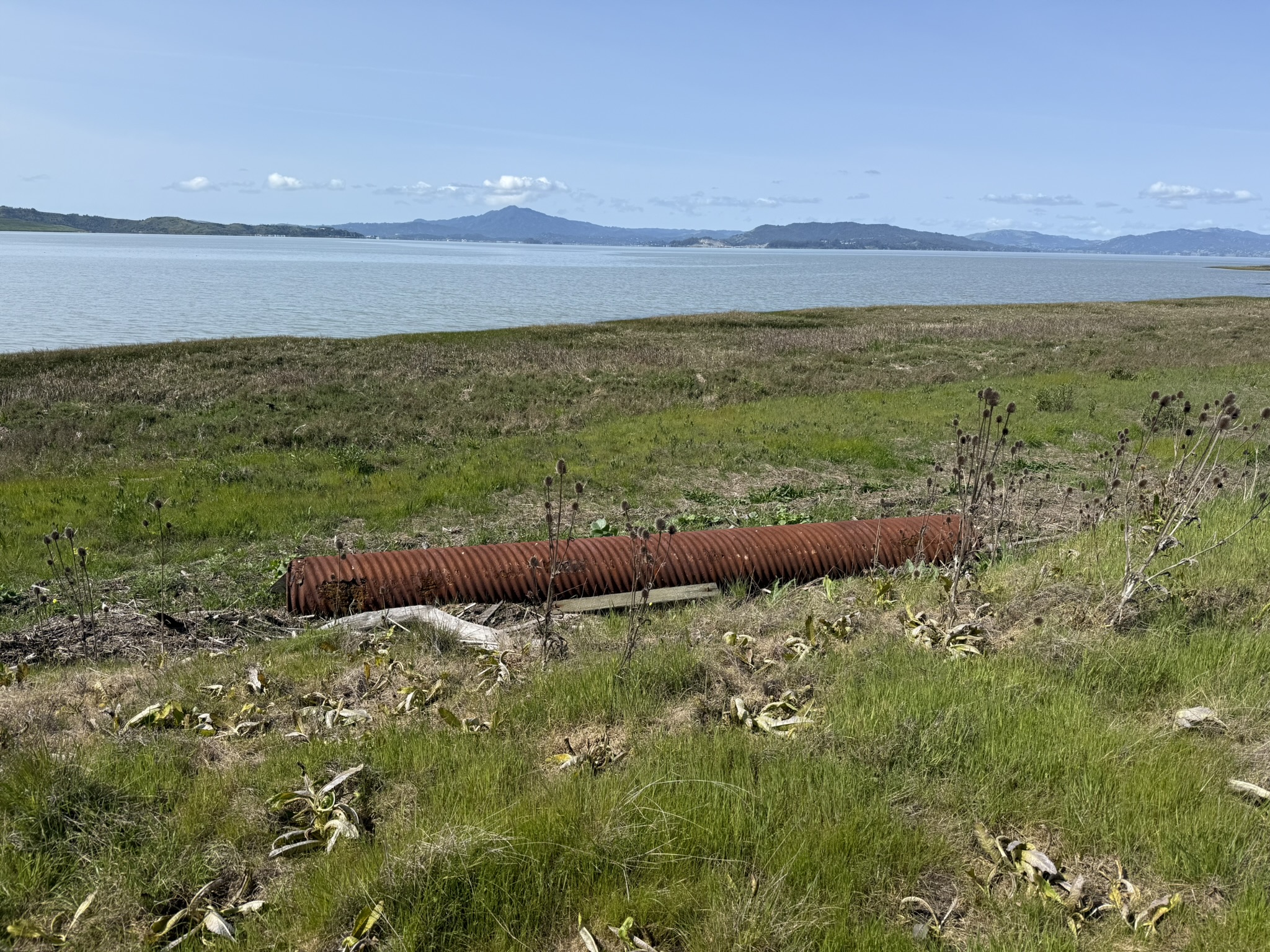 Point Pinole Regional Shoreline