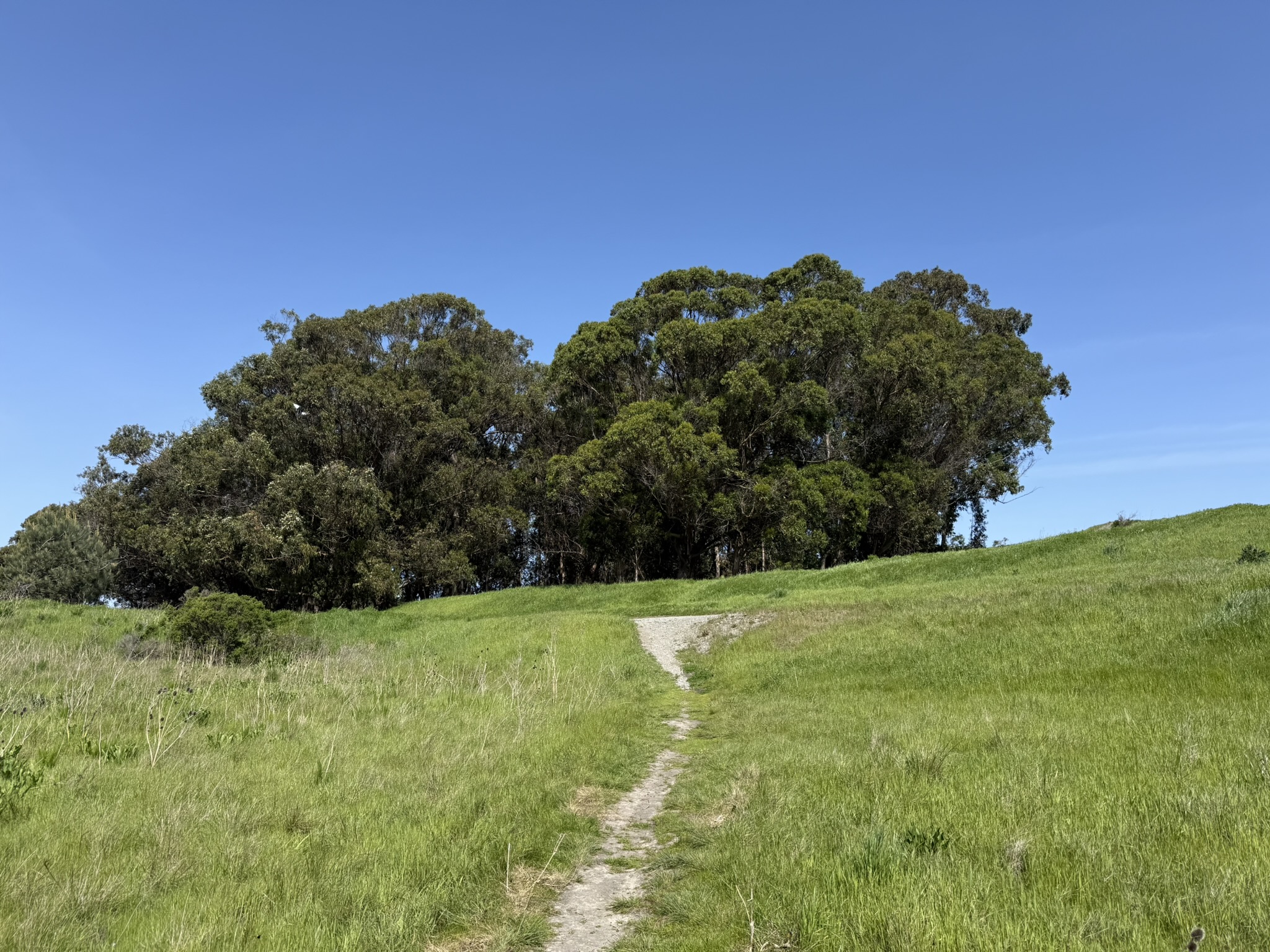 Point Pinole Regional Shoreline