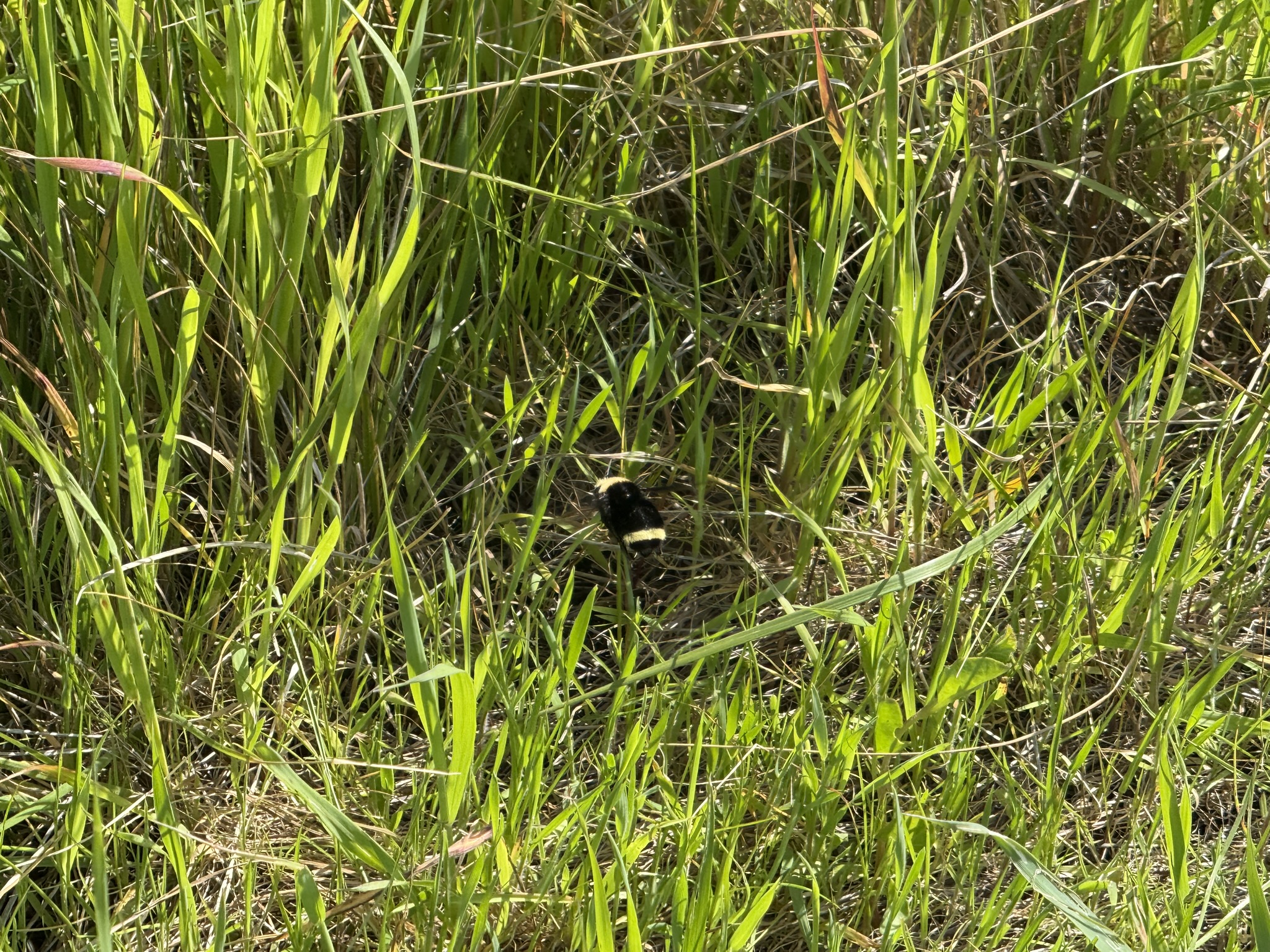 Point Pinole Regional Shoreline