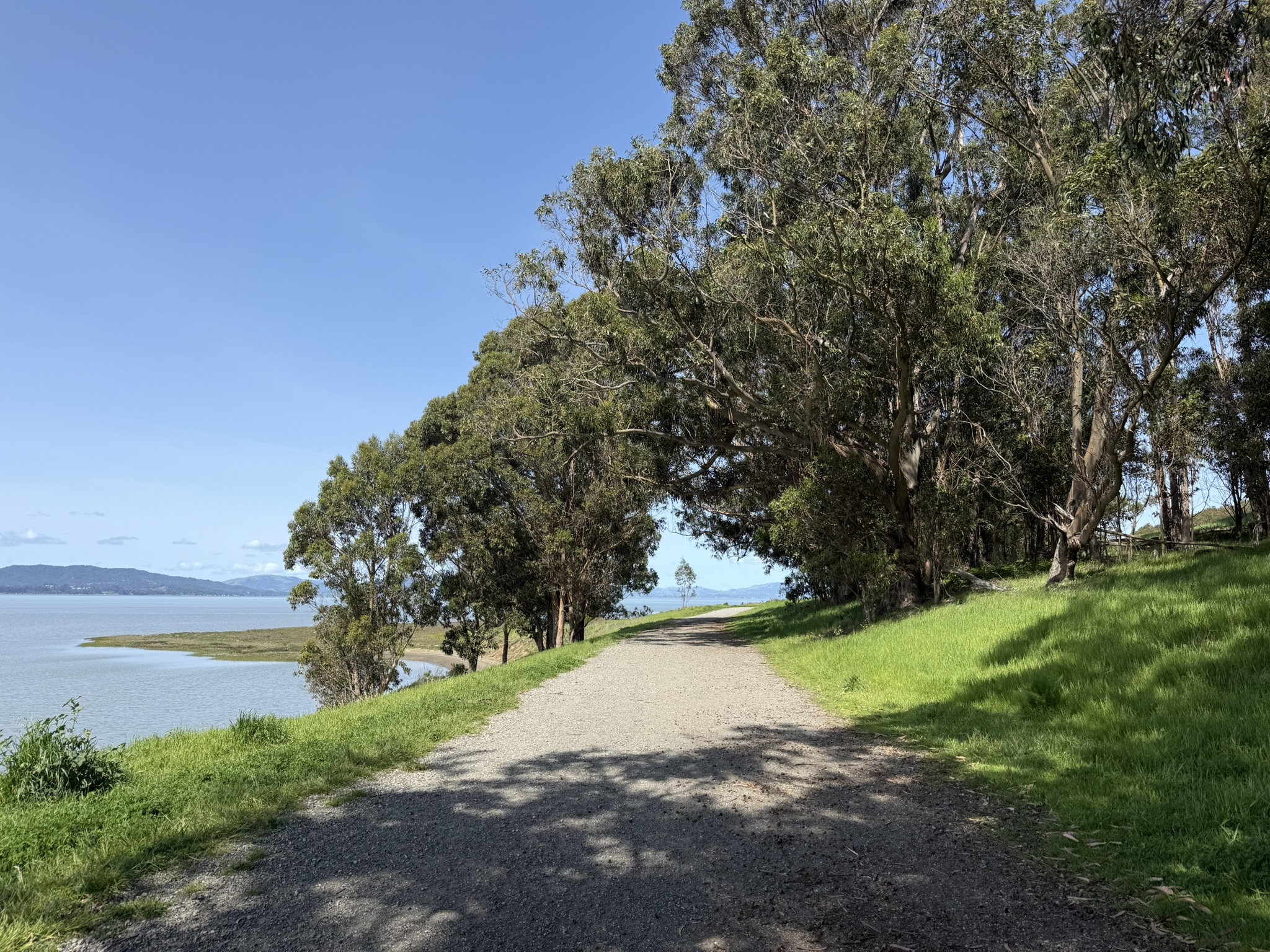 Point Pinole Regional Shoreline