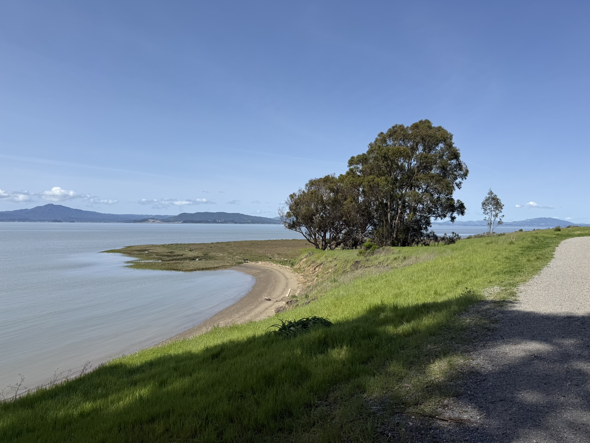 Point Pinole Regional Shoreline