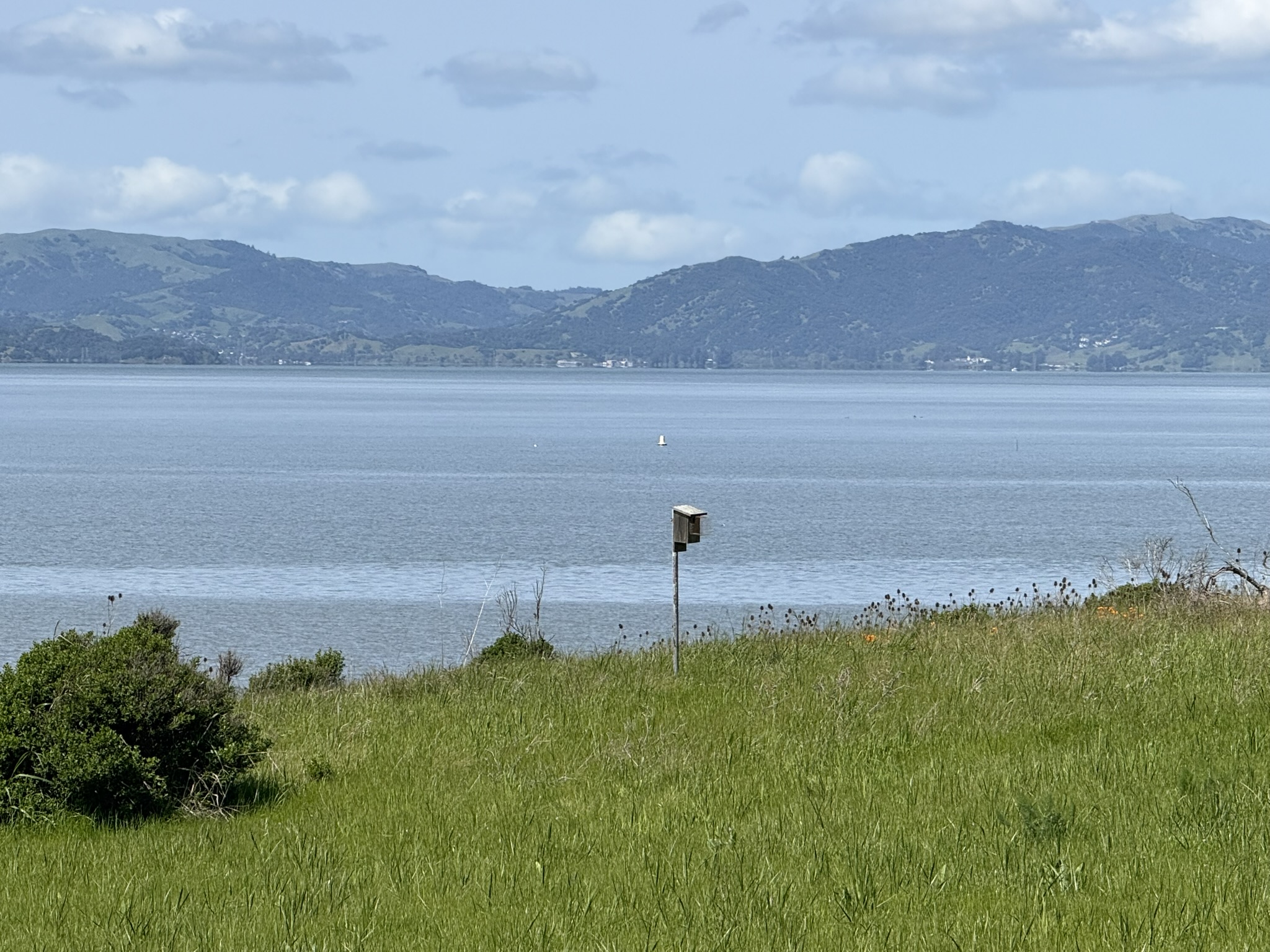 Point Pinole Regional Shoreline
