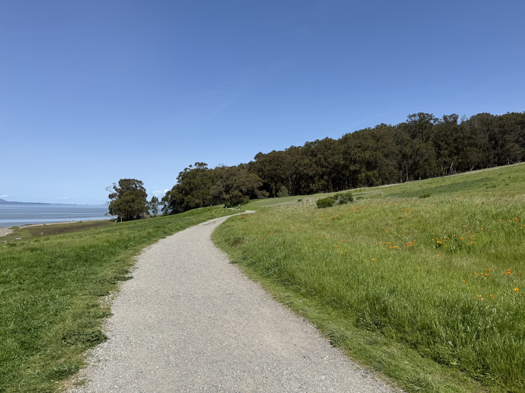 Point Pinole Regional Shoreline