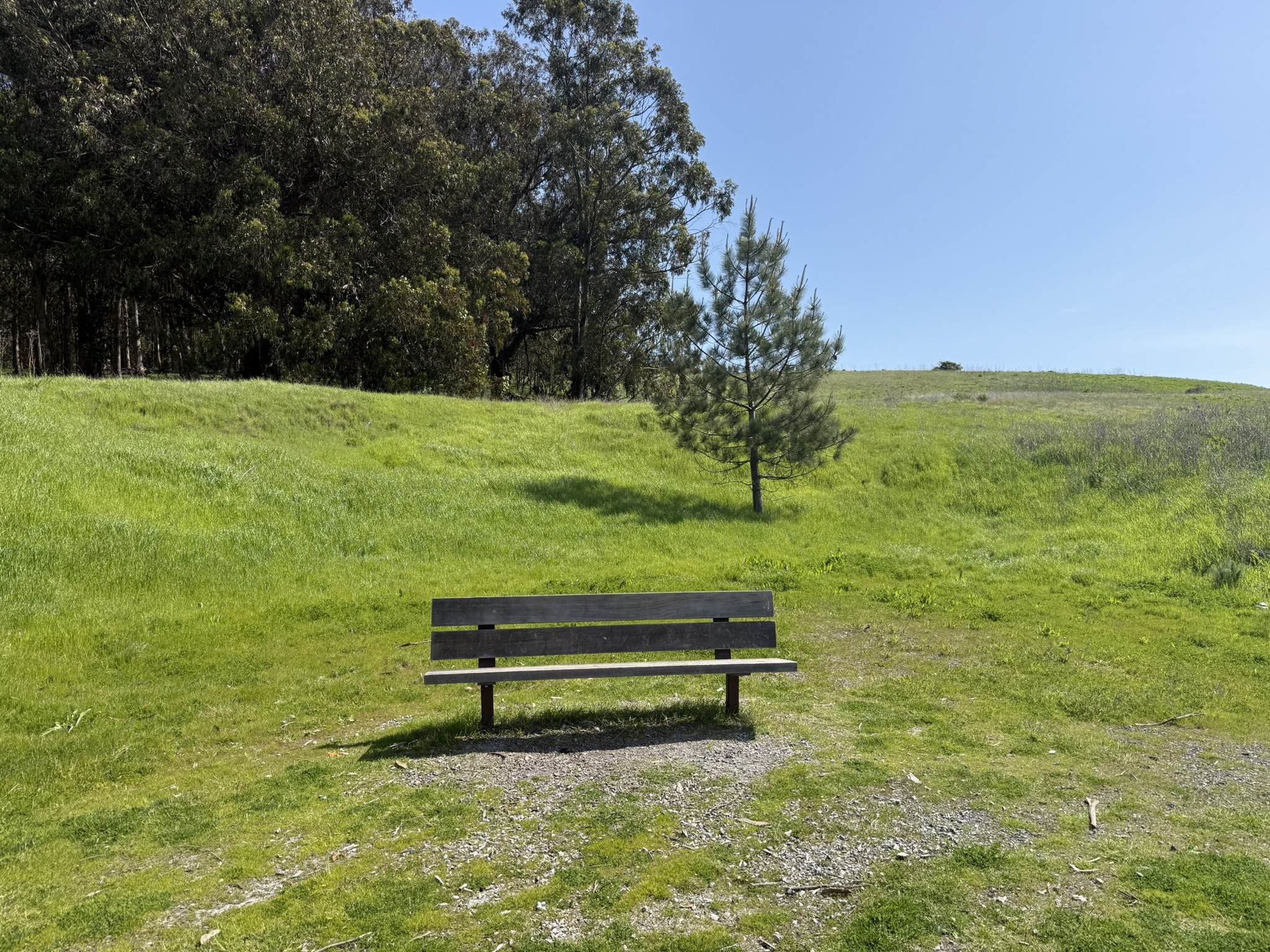 Point Pinole Regional Shoreline